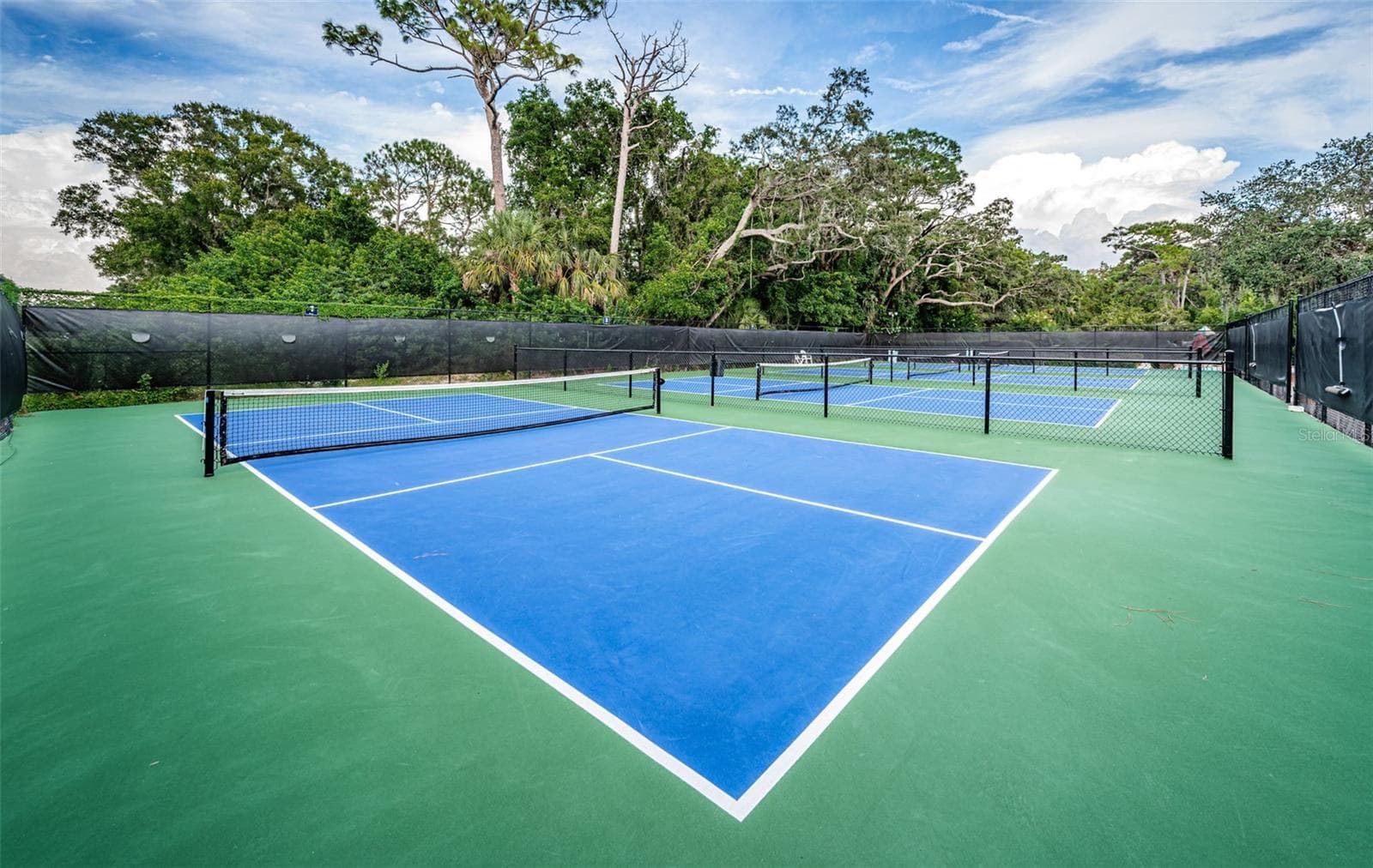 Condominium at 36750 US HIGHWAY 19 N #3-209, PALM HARBOR, photo 91 of 99