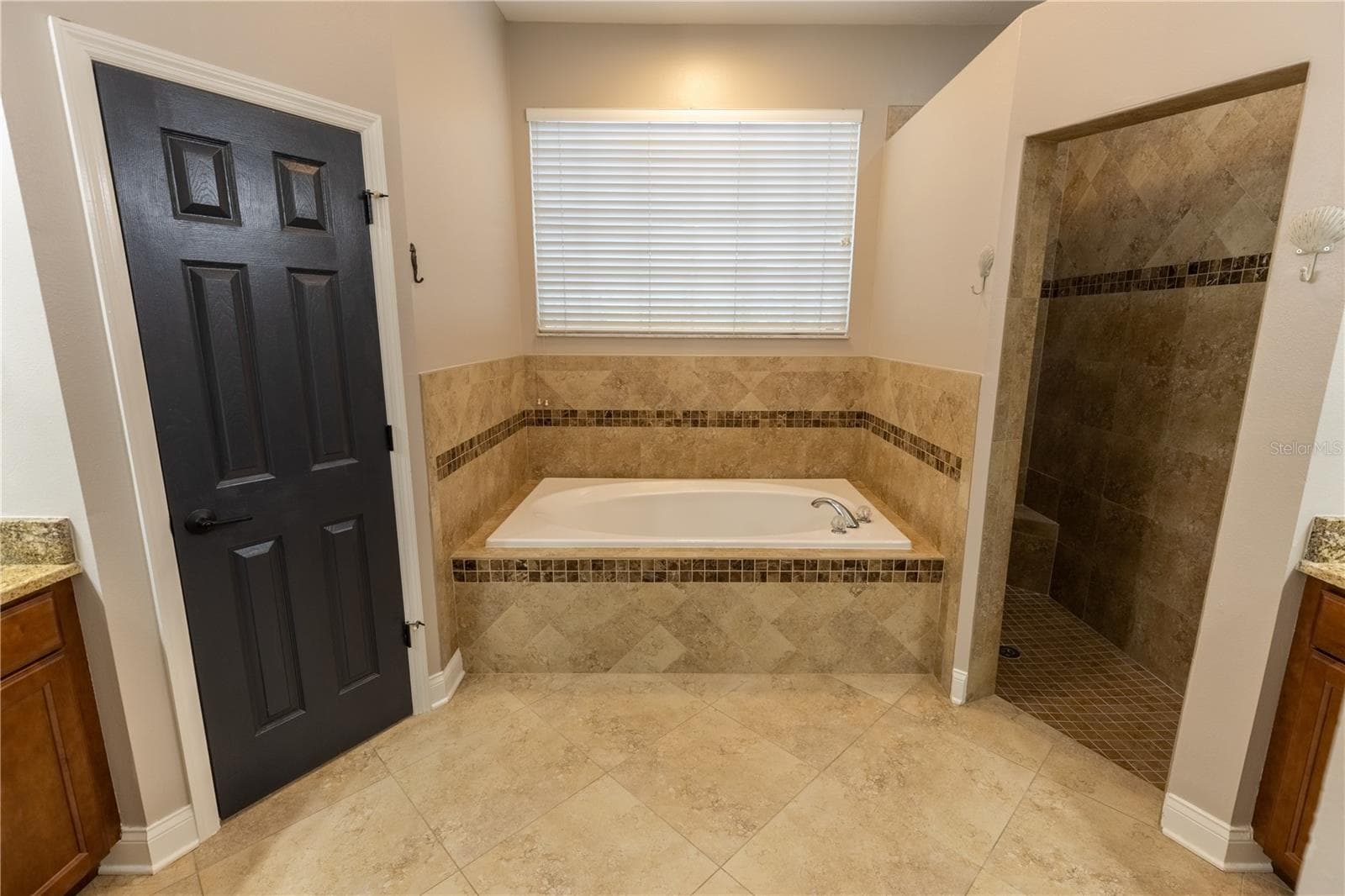 Single Family Residence at 8917 EAGLE WATCH DR, RIVERVIEW, photo 19 of 48