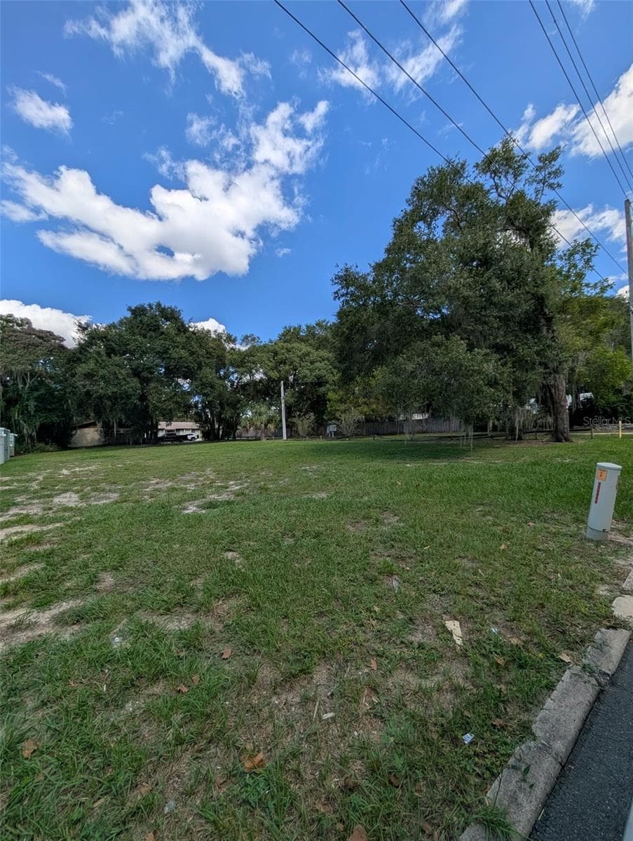 Land at 731 LIBERTY AVE, MOUNT DORA, photo 12 of 20