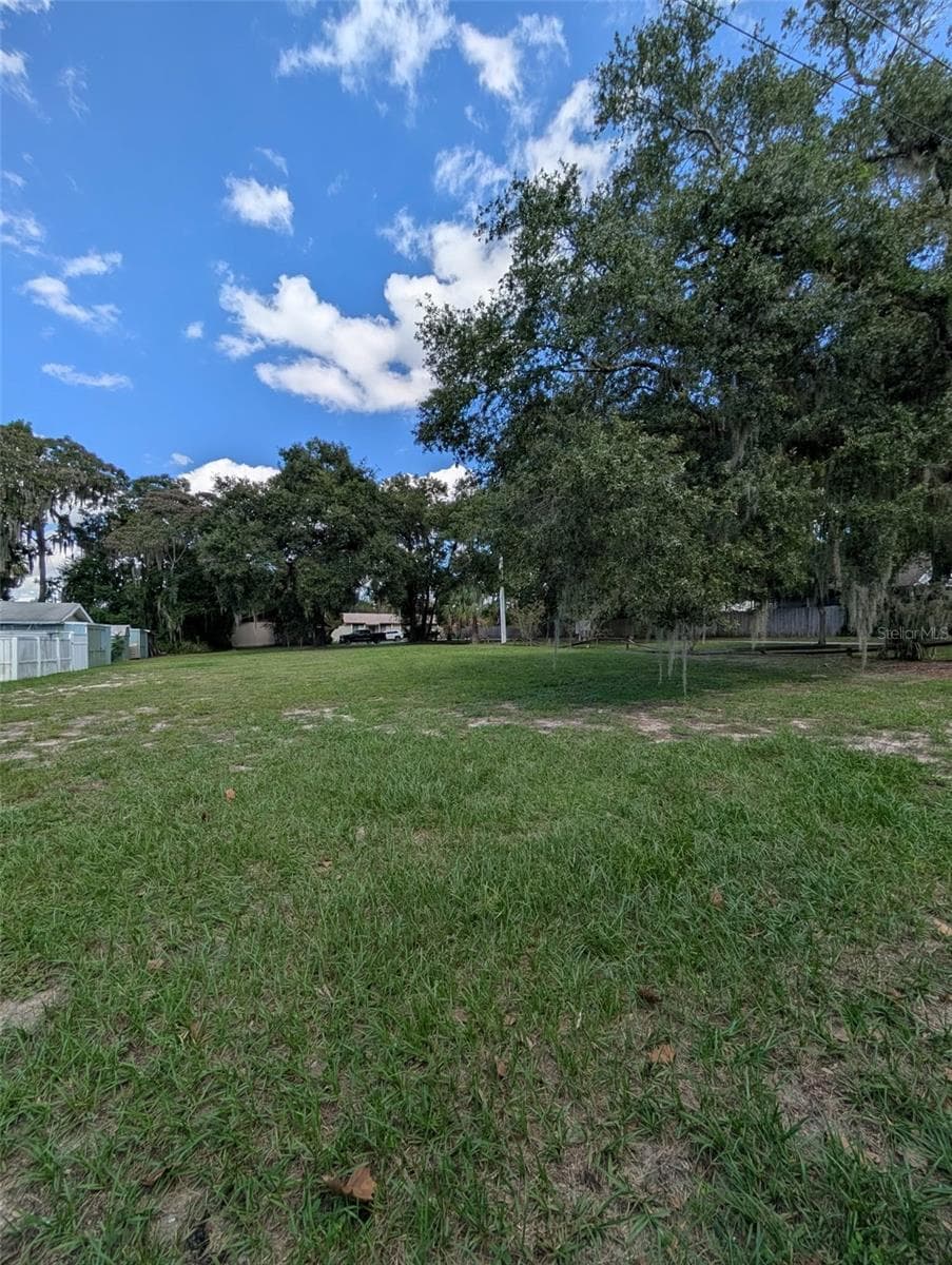Land at 731 LIBERTY AVE, MOUNT DORA, photo 19 of 20