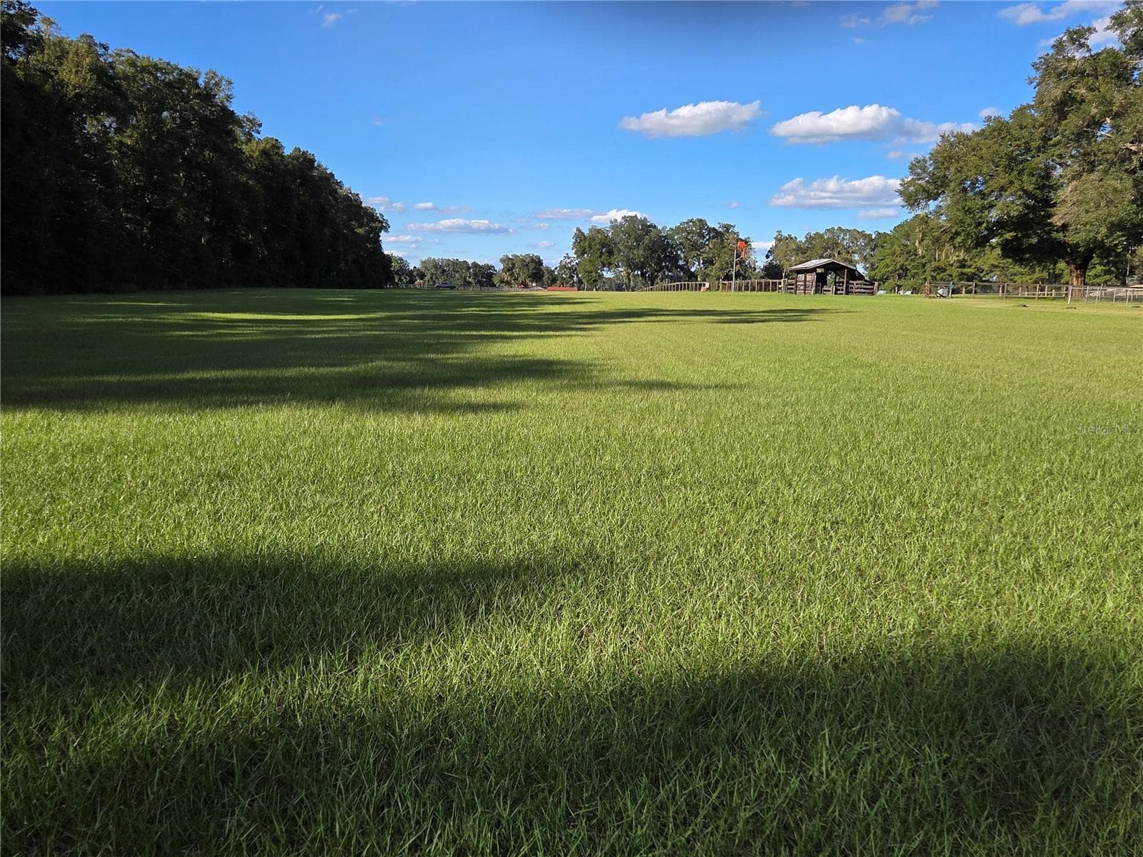 Runway to the NorthLook at this absolutely perfect Bahia grass landing strip - 950 W HIGHWAY 316, CITRA