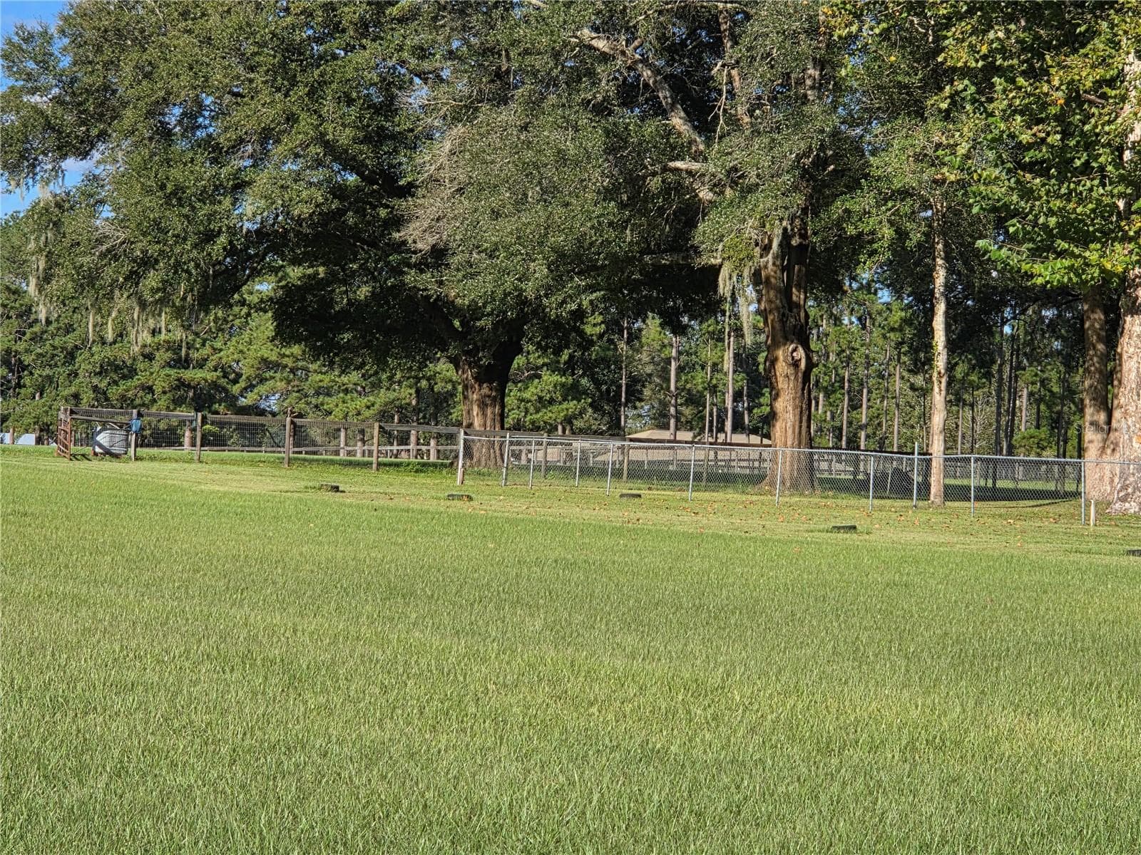 Tie Down area adjacent to the North Pasture - 950 W HIGHWAY 316, CITRA