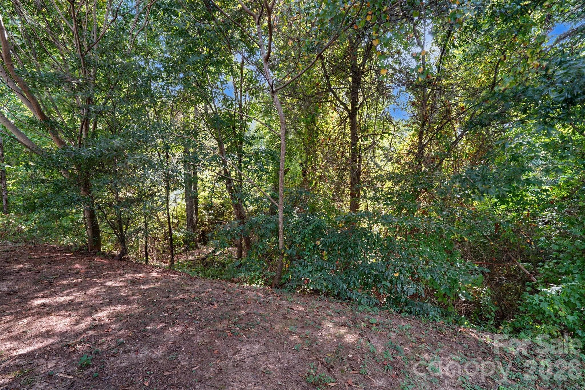 Single Family Residence at 460 Dutch White Drive, Clover, photo 37 of 37