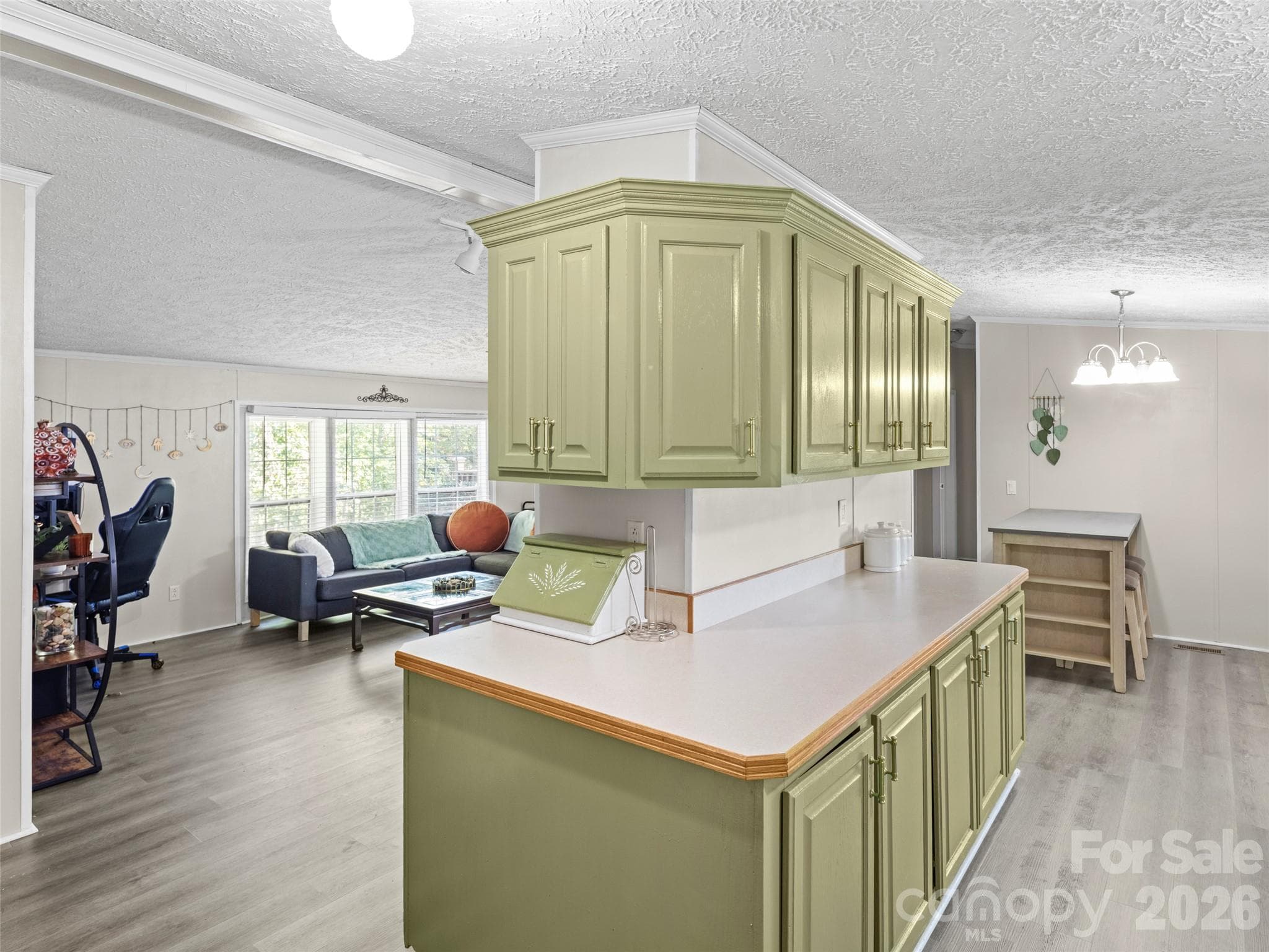 Single Family Residence at 115 Sleepy Forest Drive, Leicester, photo 10 of 26