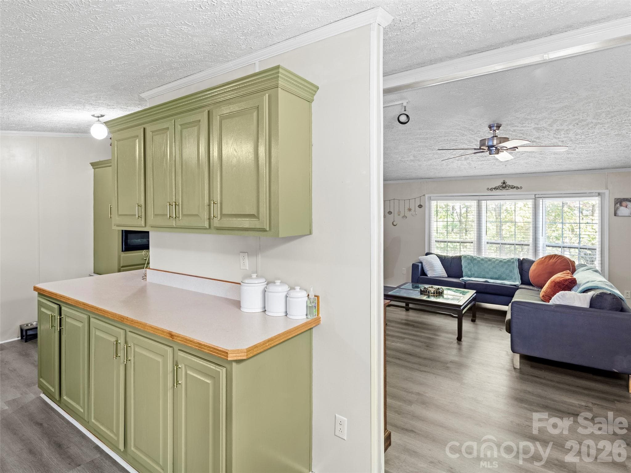 Single Family Residence at 115 Sleepy Forest Drive, Leicester, photo 11 of 26