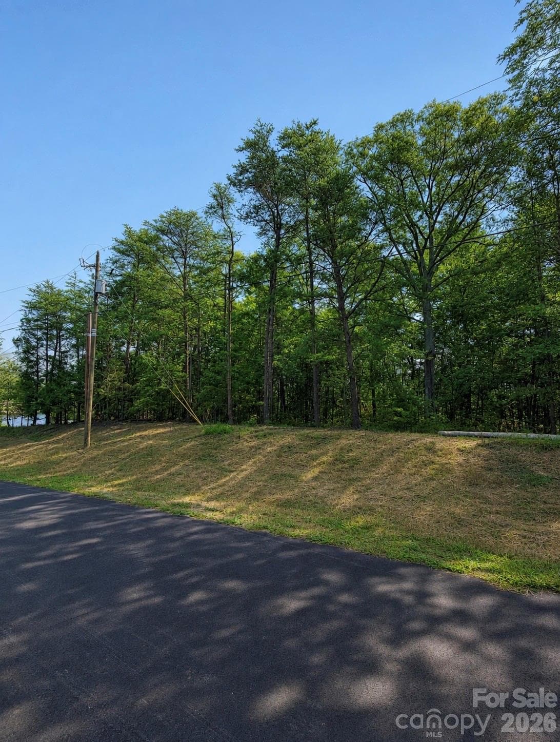 Lot at 17307 Green Hill Road, Charlotte, photo 5 of 5