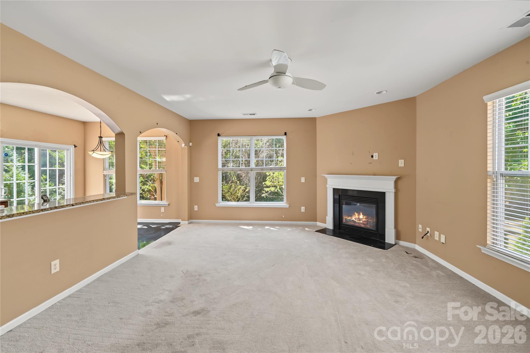 Single Family Residence at 9738 Loughlin Lane, Charlotte, photo 17 of 42