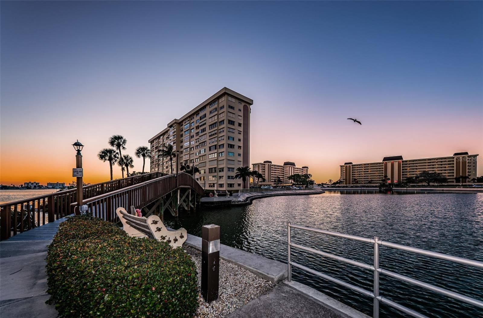 Bridge to walk around Lagoon - 4575 COVE CIR #709, ST PETERSBURG