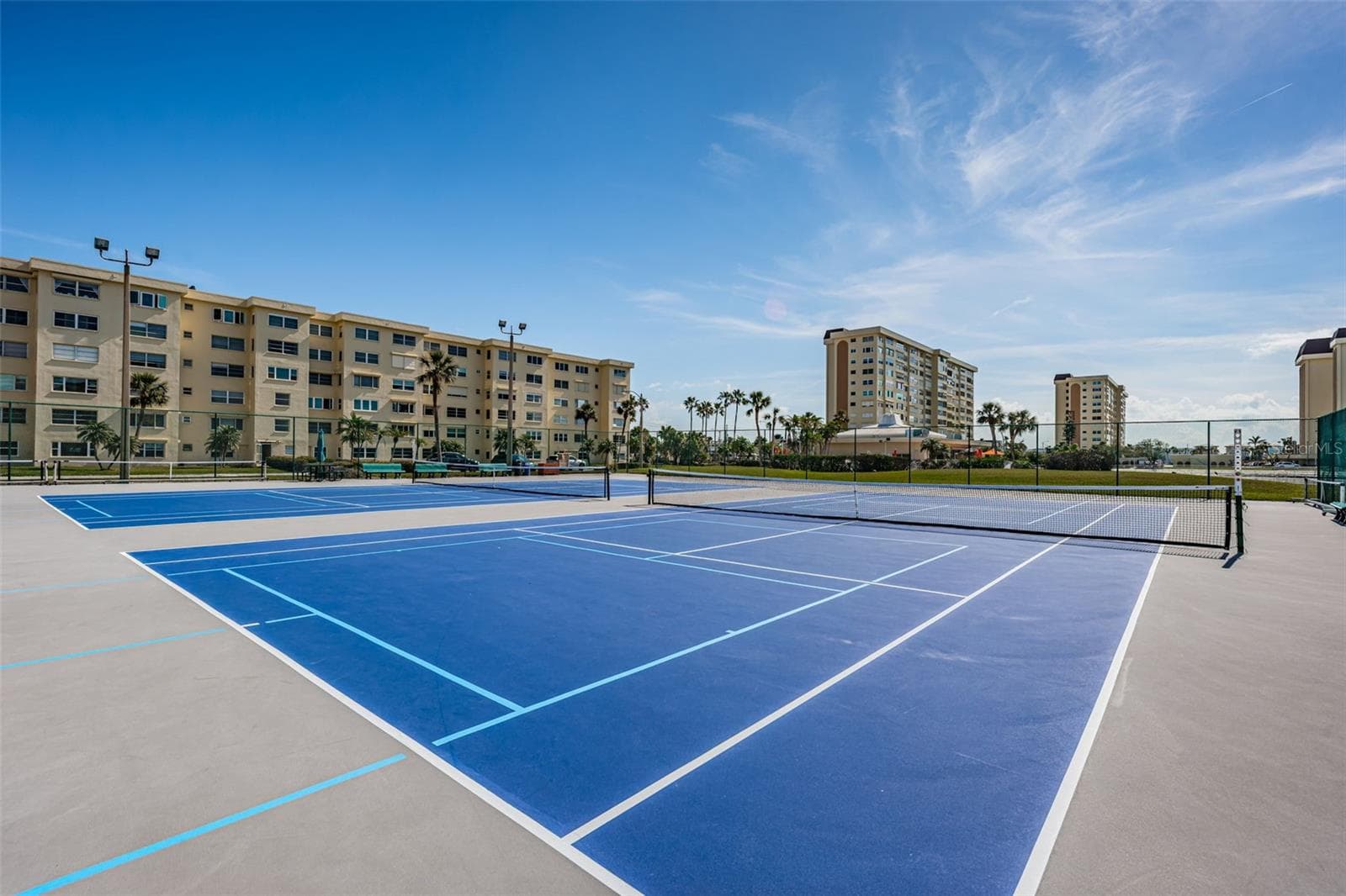 Pickle ball / tennis courts - 4575 COVE CIR #709, ST PETERSBURG