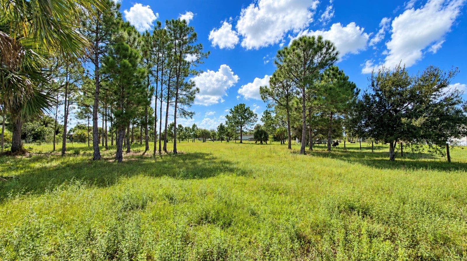 Land at 19788 NW 284TH ST, OKEECHOBEE, photo 3 of 10