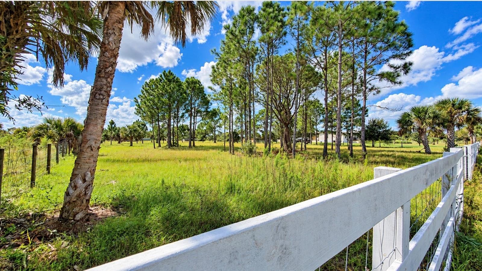Land at 19788 NW 284TH ST, OKEECHOBEE, photo 7 of 10