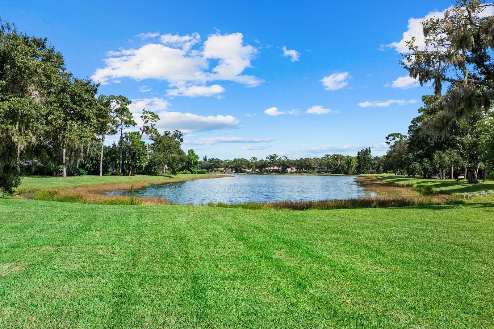Single Family Residence at 7303 WEEPING WILLOW DR, SARASOTA, photo 49 of 54