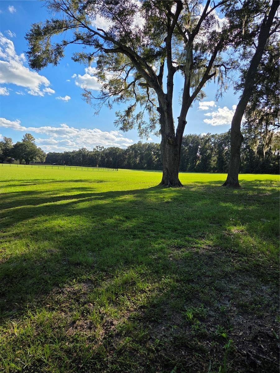View from North side of the house to driveway area - 950 W HIGHWAY 316, CITRA