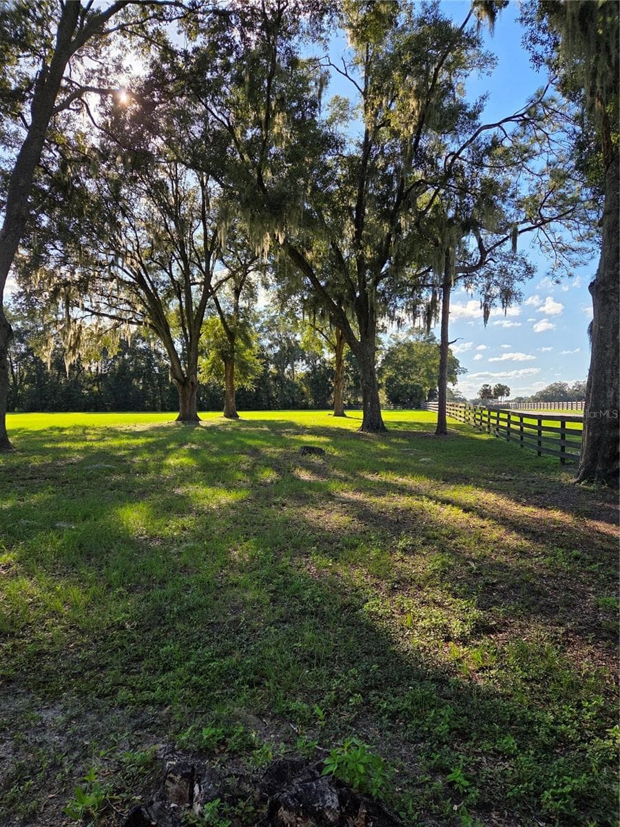 View from North side of the house to pasture - 950 W HIGHWAY 316, CITRA