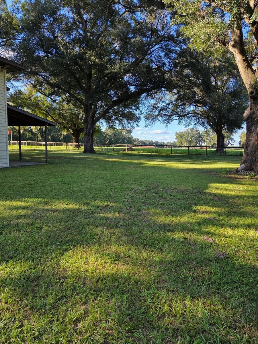 North side to pasture - 950 W HIGHWAY 316, CITRA