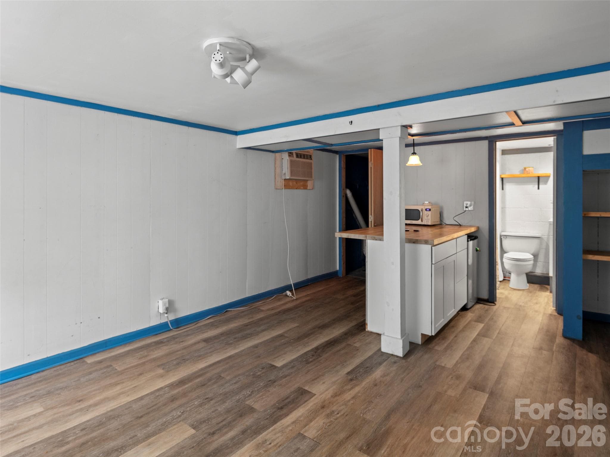 Finished portion of basement with 2nd bathroom - 21 Rosemary Road, Asheville