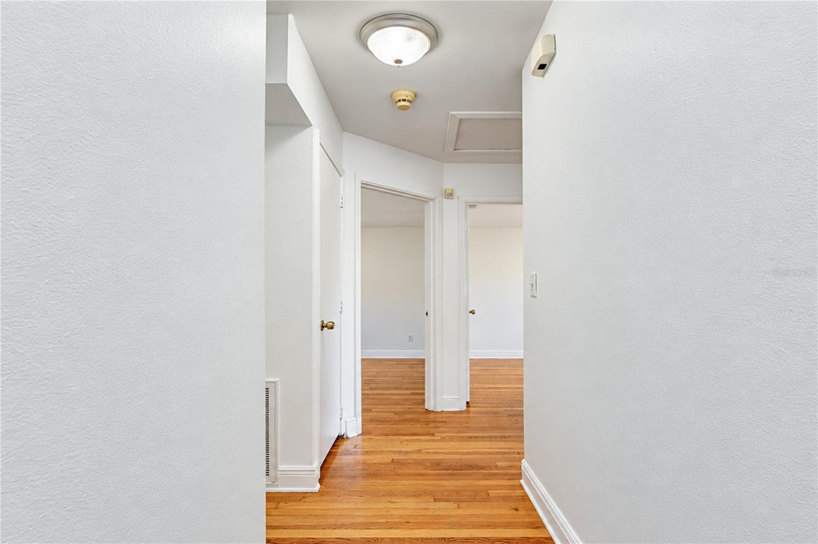 Well-lit transitional hallway highlighting the beautiful hardwood flooring continuing throughout the home. - 4508 S LOIS AVE, TAMPA