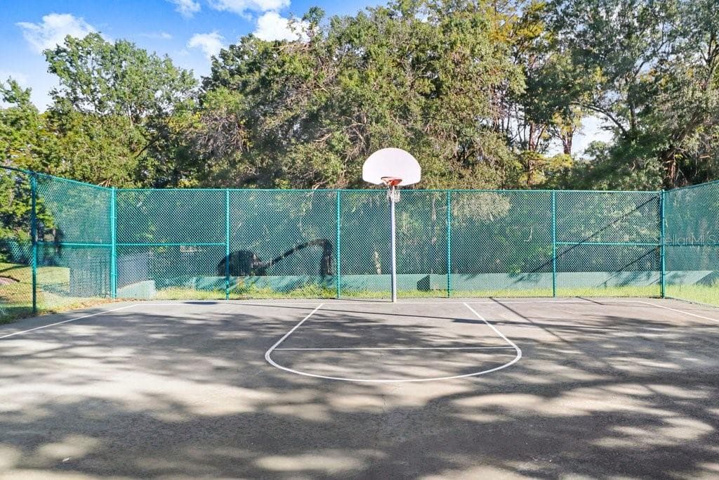 Basketball Court - 8705 CRESCENT FOREST BLVD, NEW PORT RICHEY
