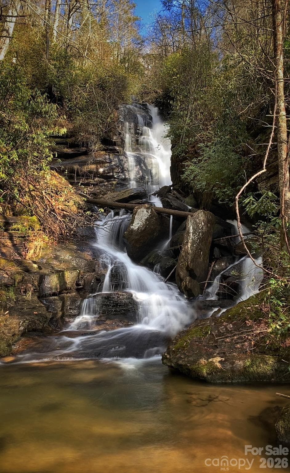 Reece Place Falls: a short hike from the house - 158 Bucks Crossing, Brevard