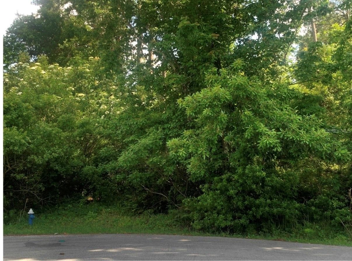 Land at 63 PERTHSHIRE LN, PALM COAST, photo 2 of 2