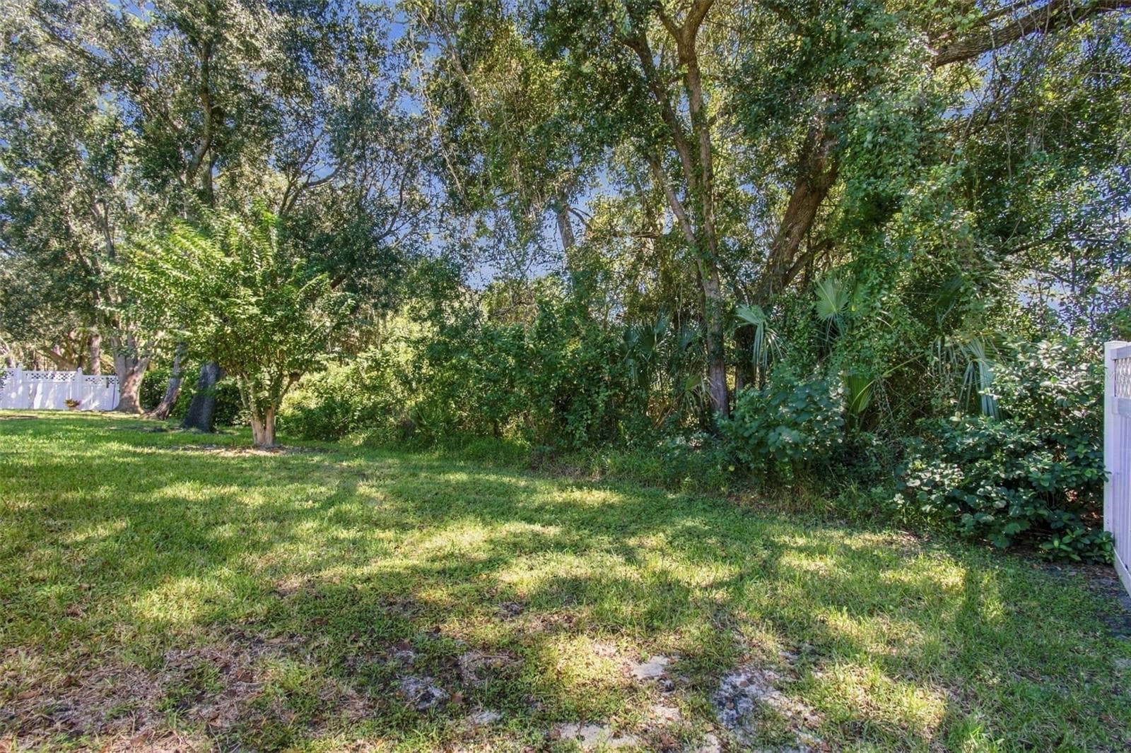Private Wooded View - 16213 NOTTINGHAM PARK WAY, TAMPA