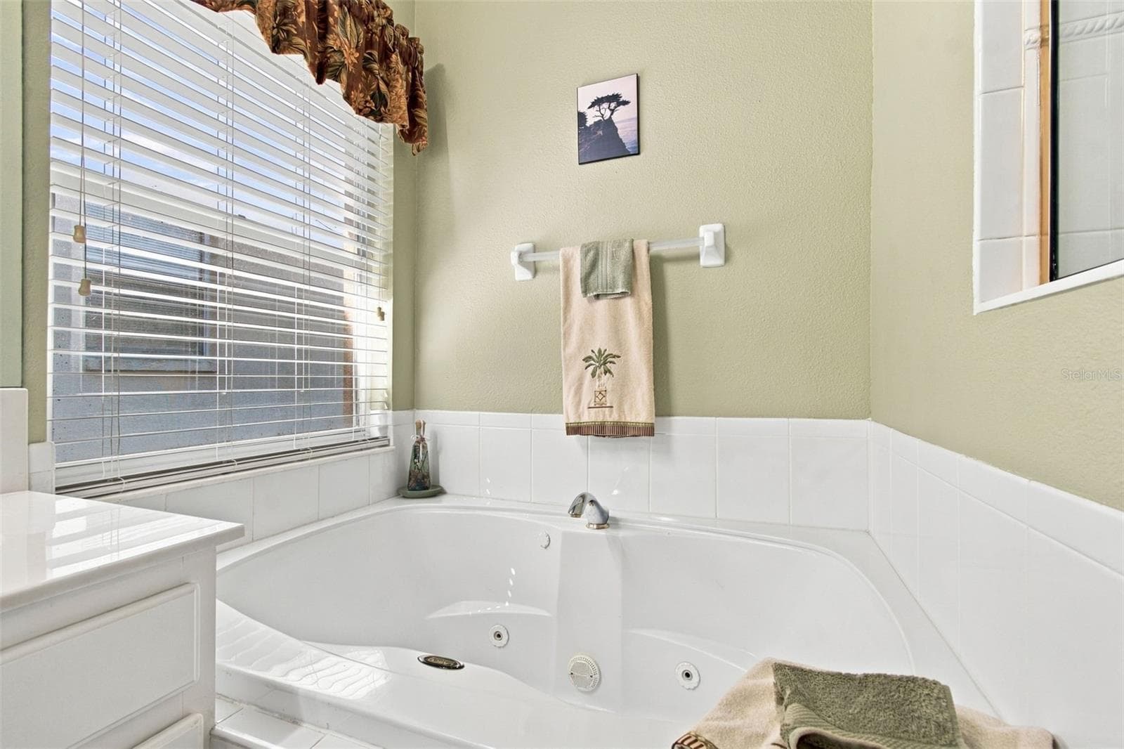 Single Family Residence at 16213 NOTTINGHAM PARK WAY, TAMPA, photo 34 of 64