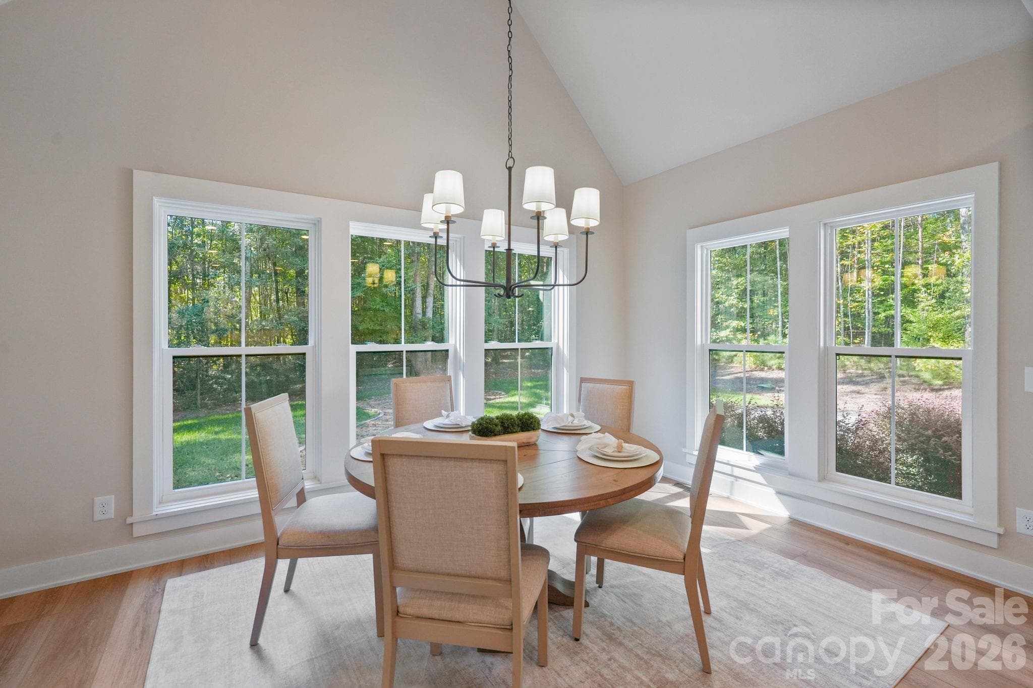 Single Family Residence at 2866 Backwoods Trail, Denver, photo 16 of 44