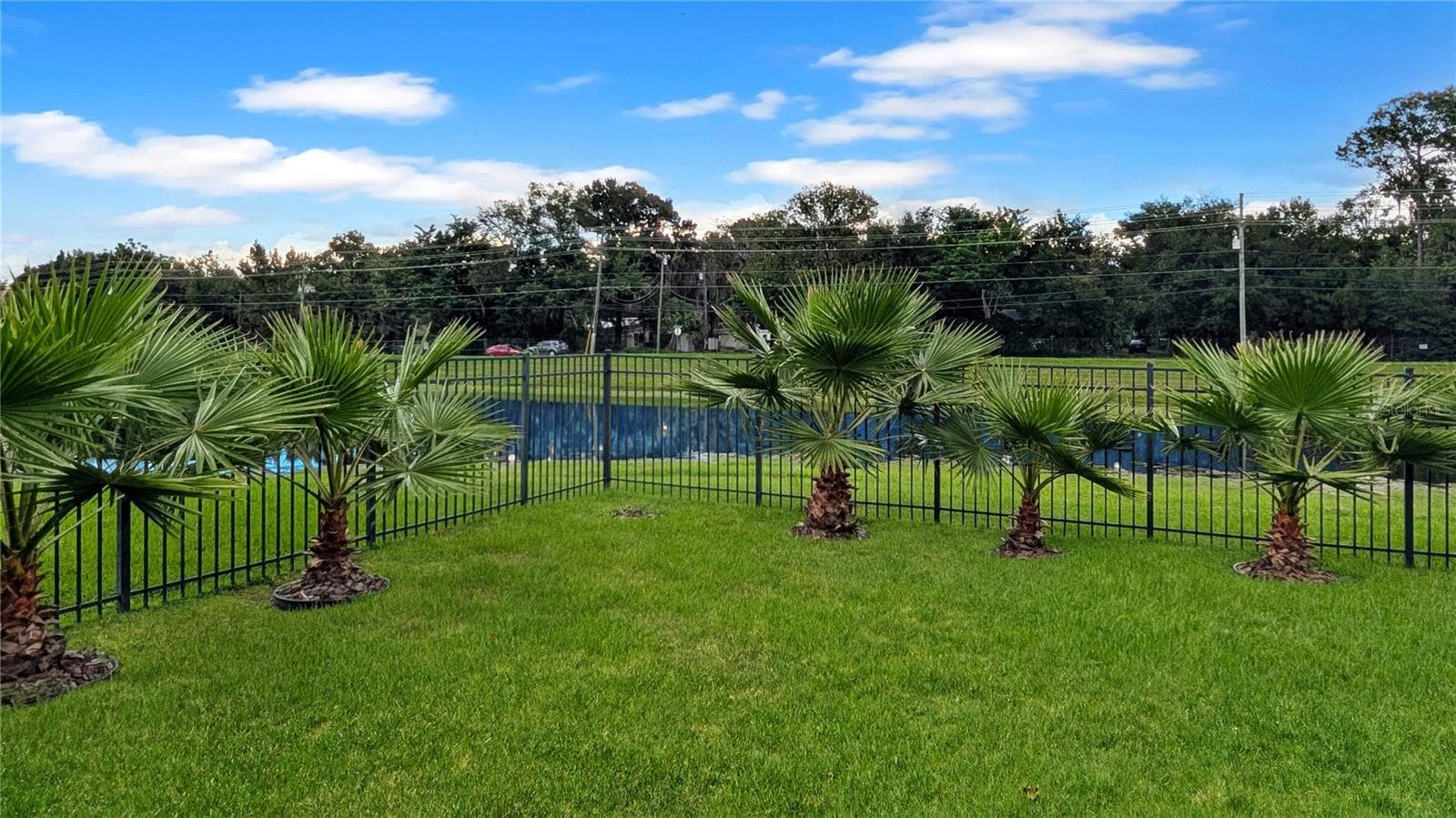 View from your Backporch! This WATERFRONT Retreat is so Private, You Will not be able to See ANY Neighbors from Your SCREENED Back Porch…You will only see Thousands of Dollars in Gorgeous Palm Trees, and beyond that just Water Views and Wildlife! - 15637 CARINA DR, ORLANDO