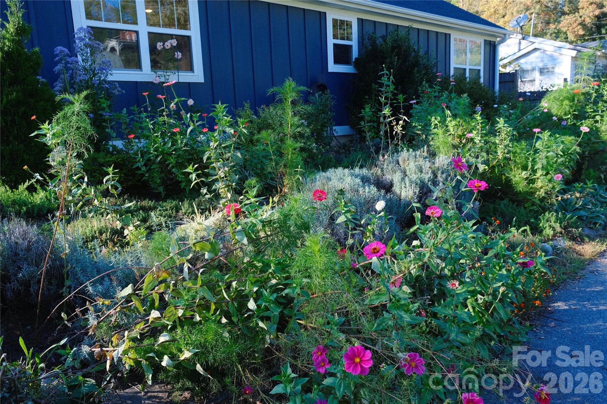 Carefully designed native flower garden to attract pollinators - 52 North Lane, Brevard