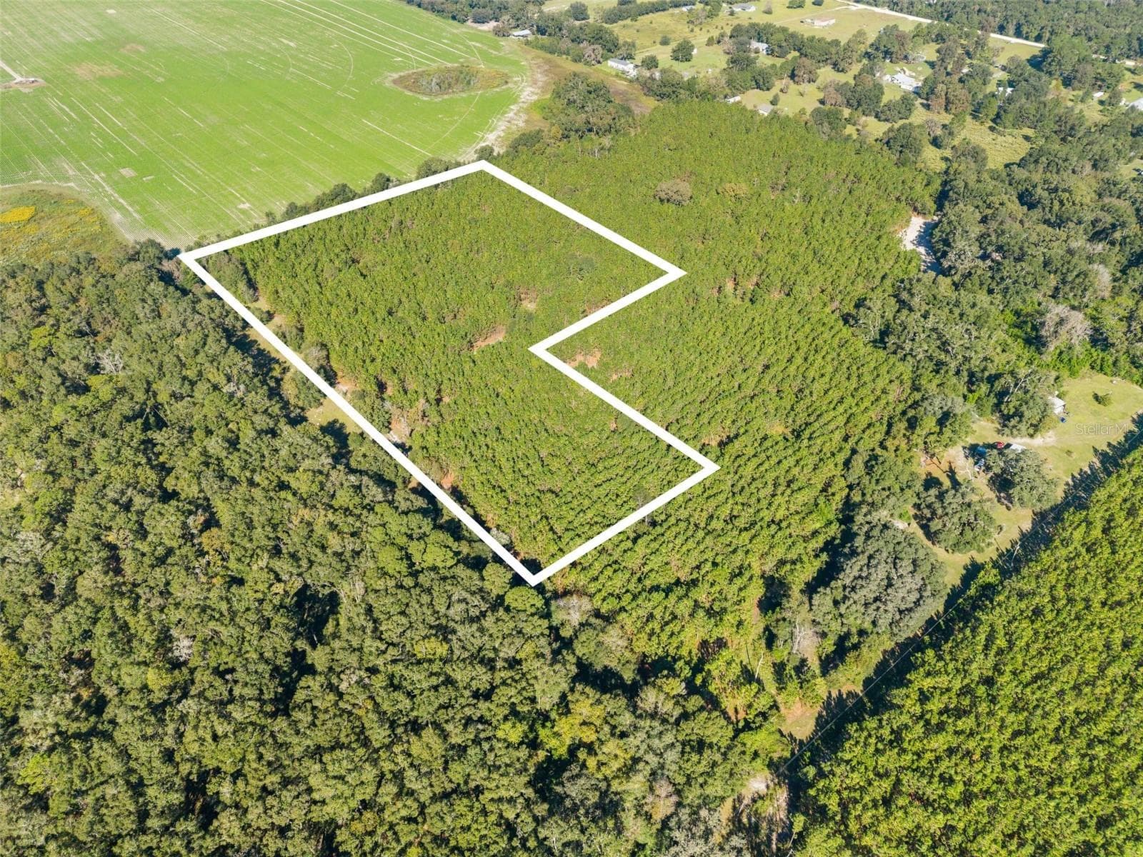 Land