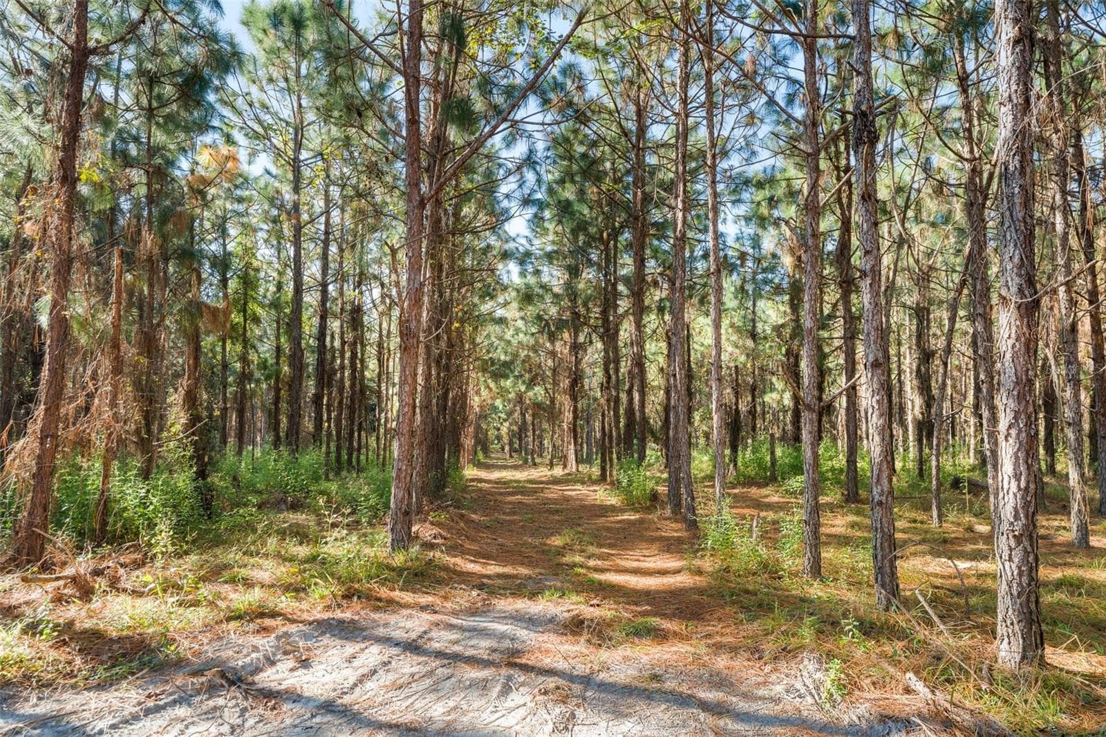 Land at Land, HIGH SPRINGS, photo 4 of 19