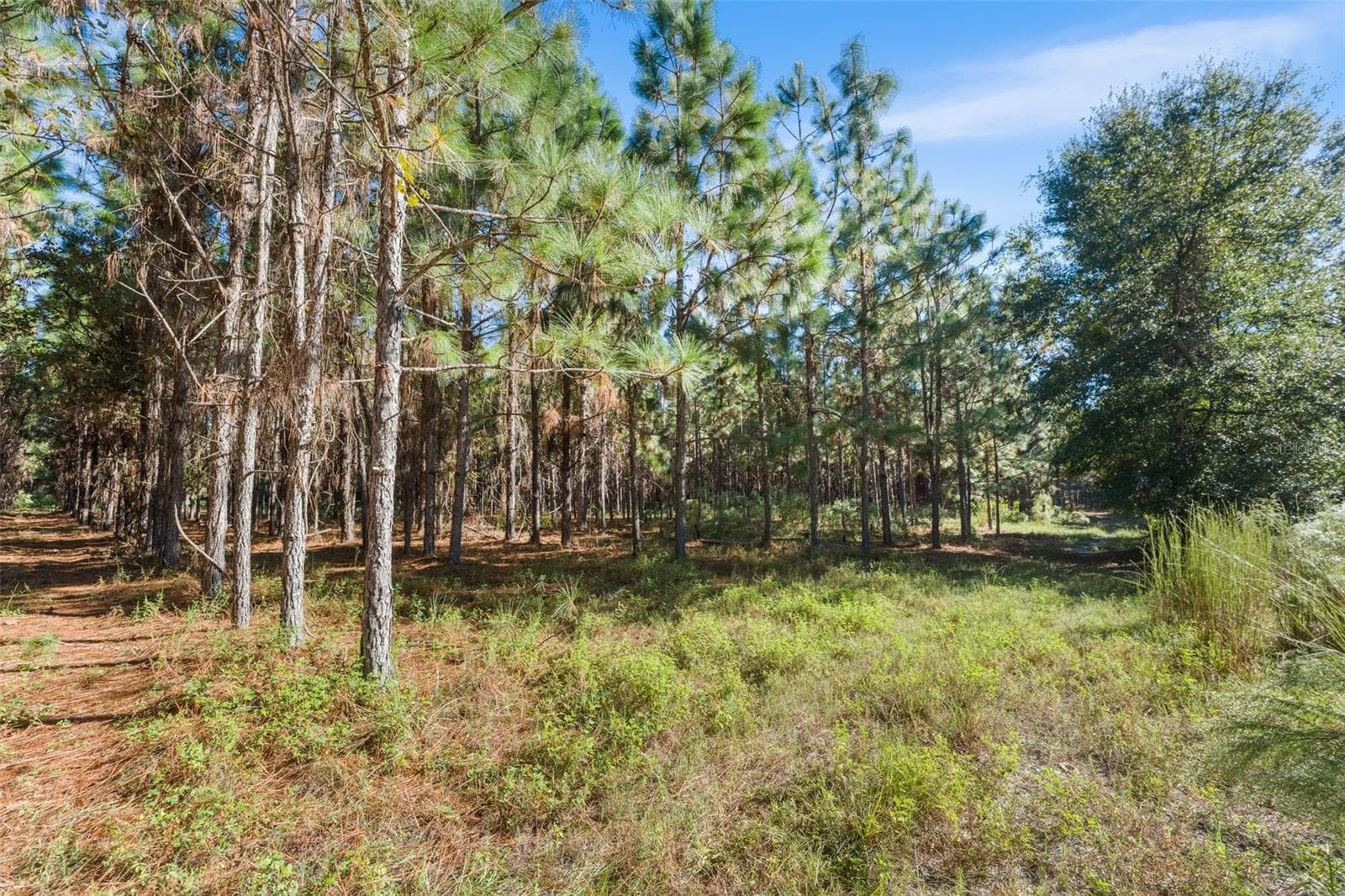 Land at Land, HIGH SPRINGS, photo 5 of 19