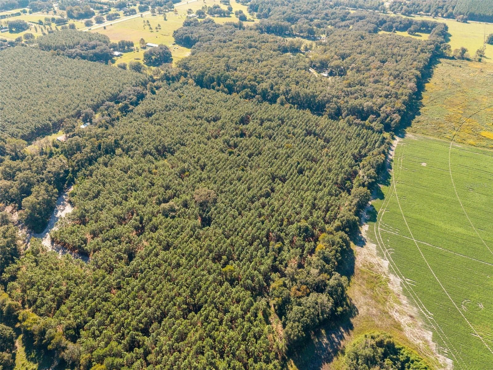 Land at Land, HIGH SPRINGS, photo 12 of 19