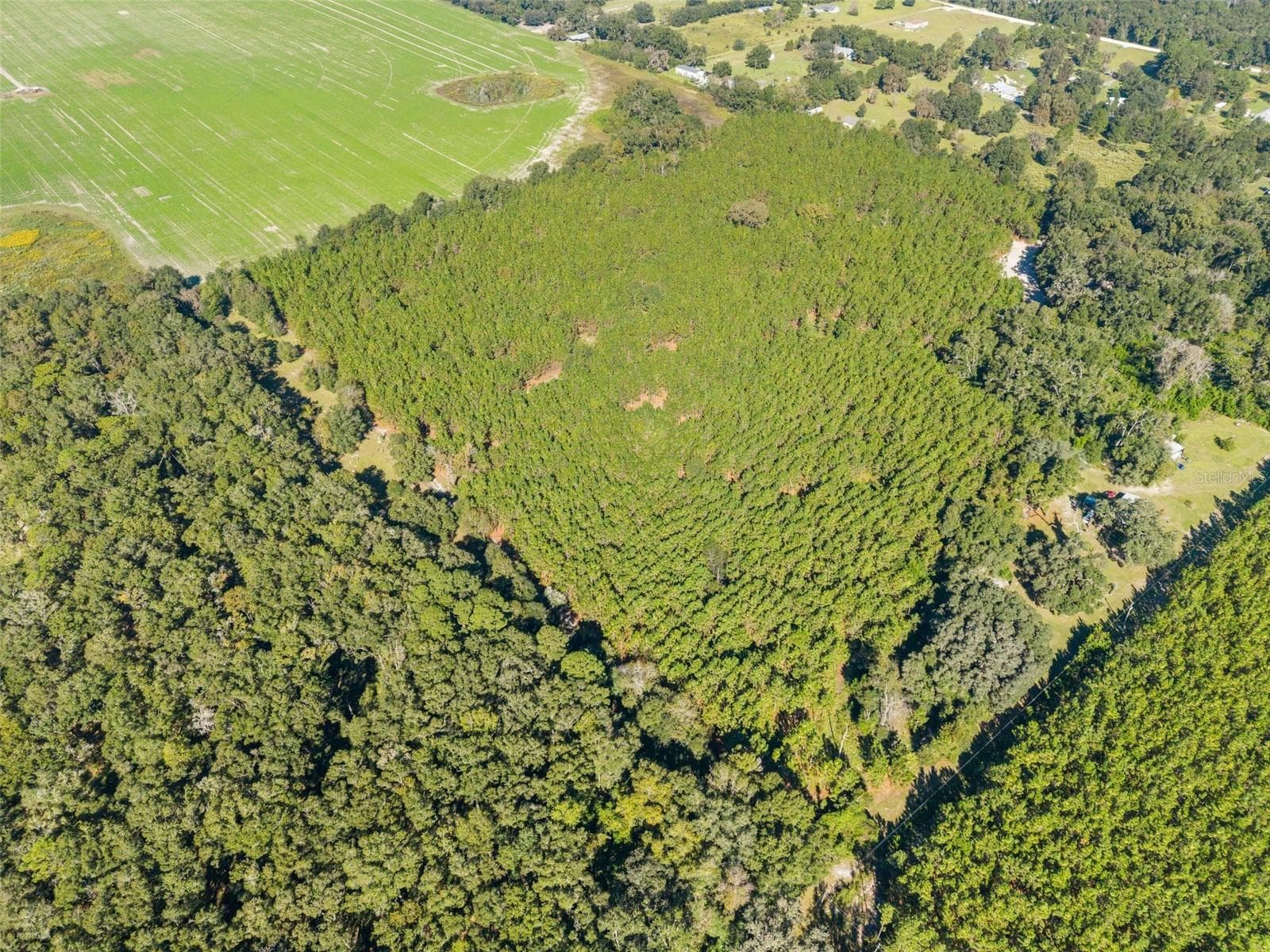 Land at Land, HIGH SPRINGS, photo 15 of 19