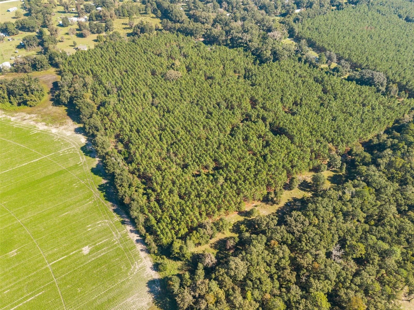 Land at Land, HIGH SPRINGS, photo 18 of 19