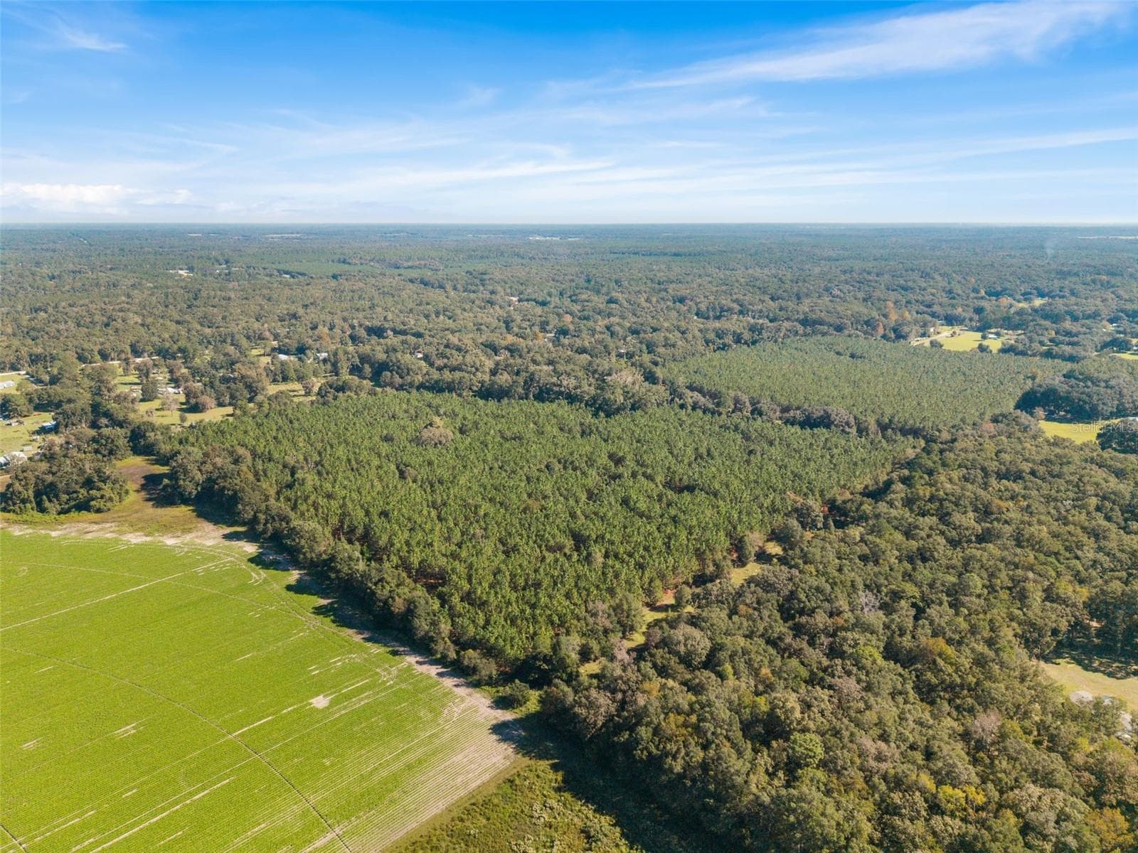 Land at Land, HIGH SPRINGS, photo 19 of 19