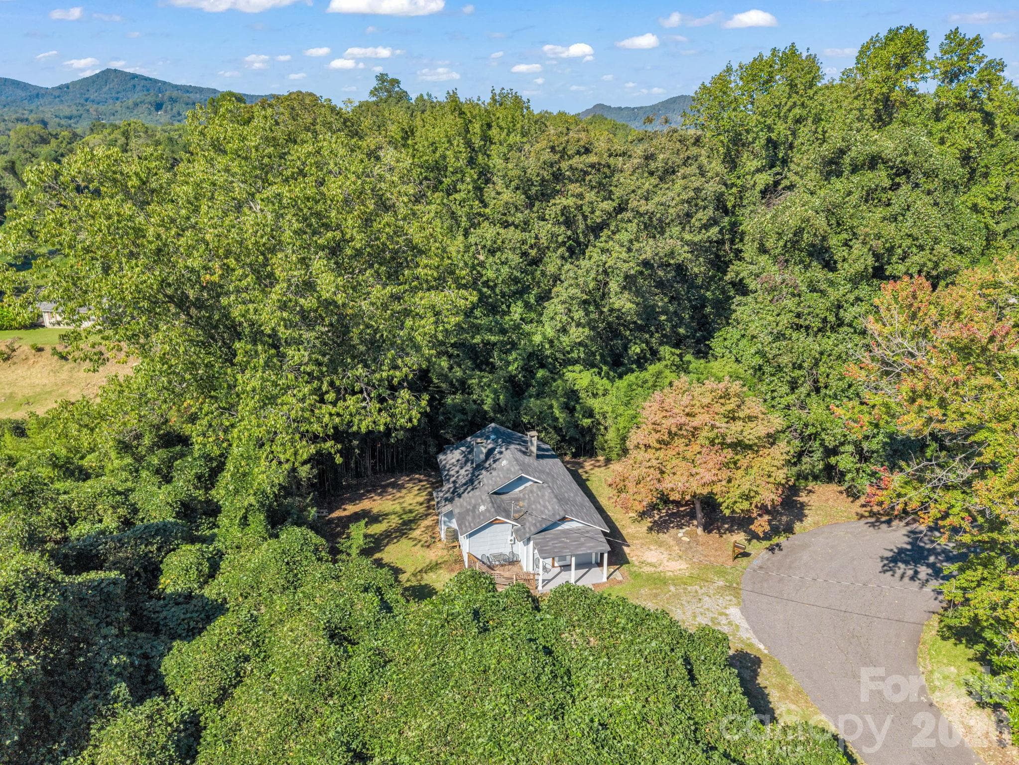 Privacy - 51 Shepherd Street, Tryon
