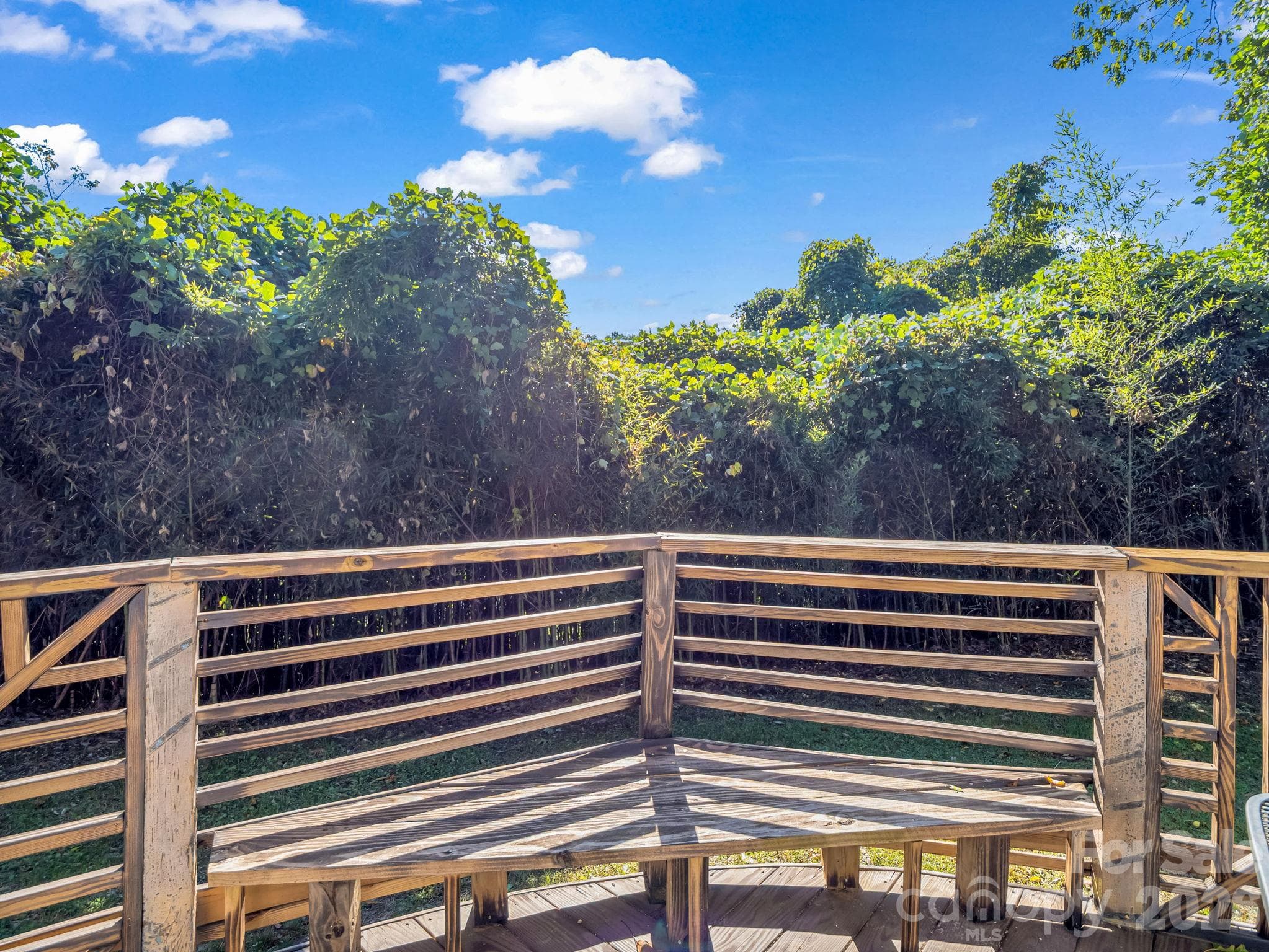 Privacy - 51 Shepherd Street, Tryon