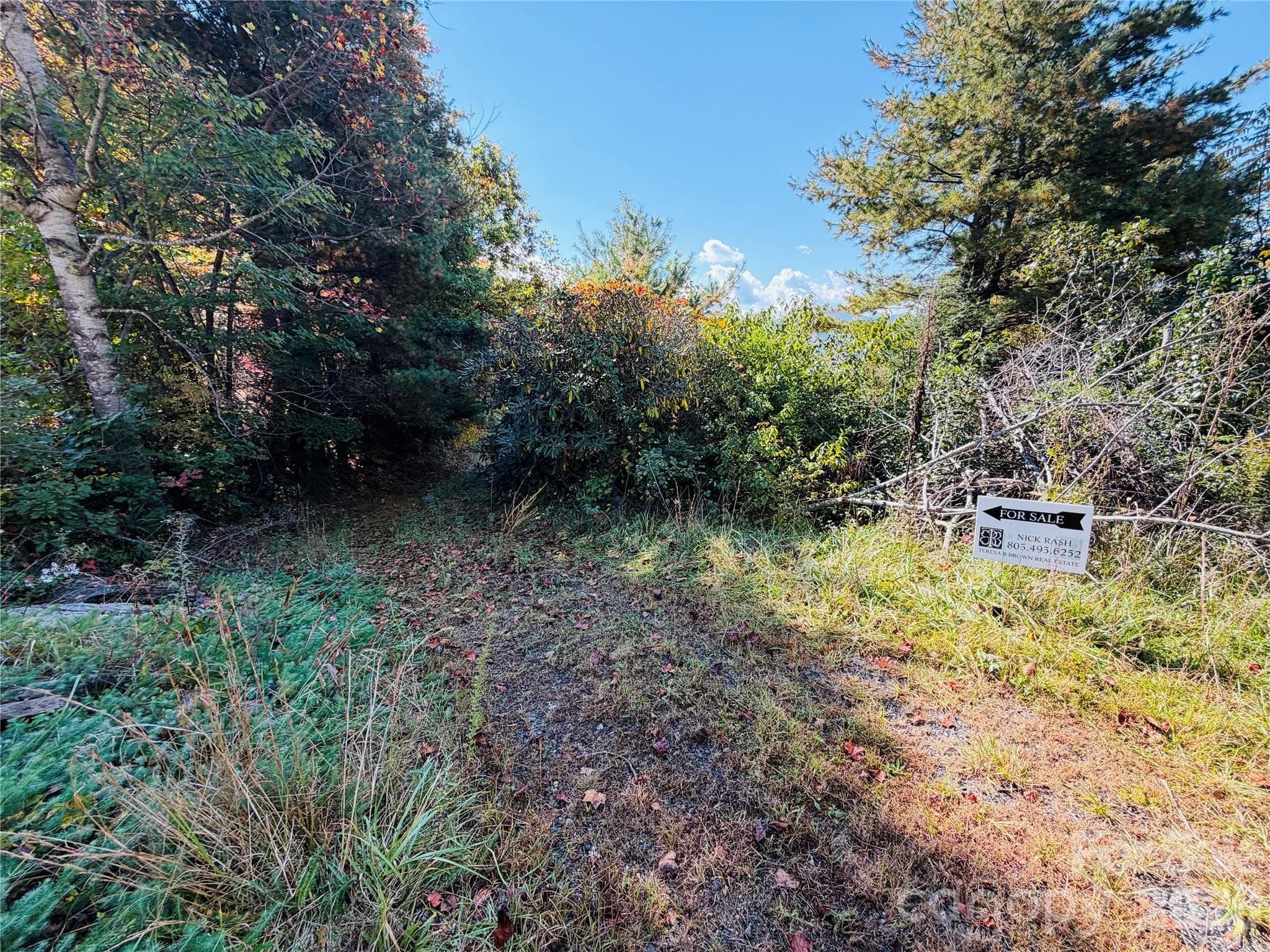 Driveway - Look for real estate directional sign and turn LEFT. - 215 High View Trail, Burnsville