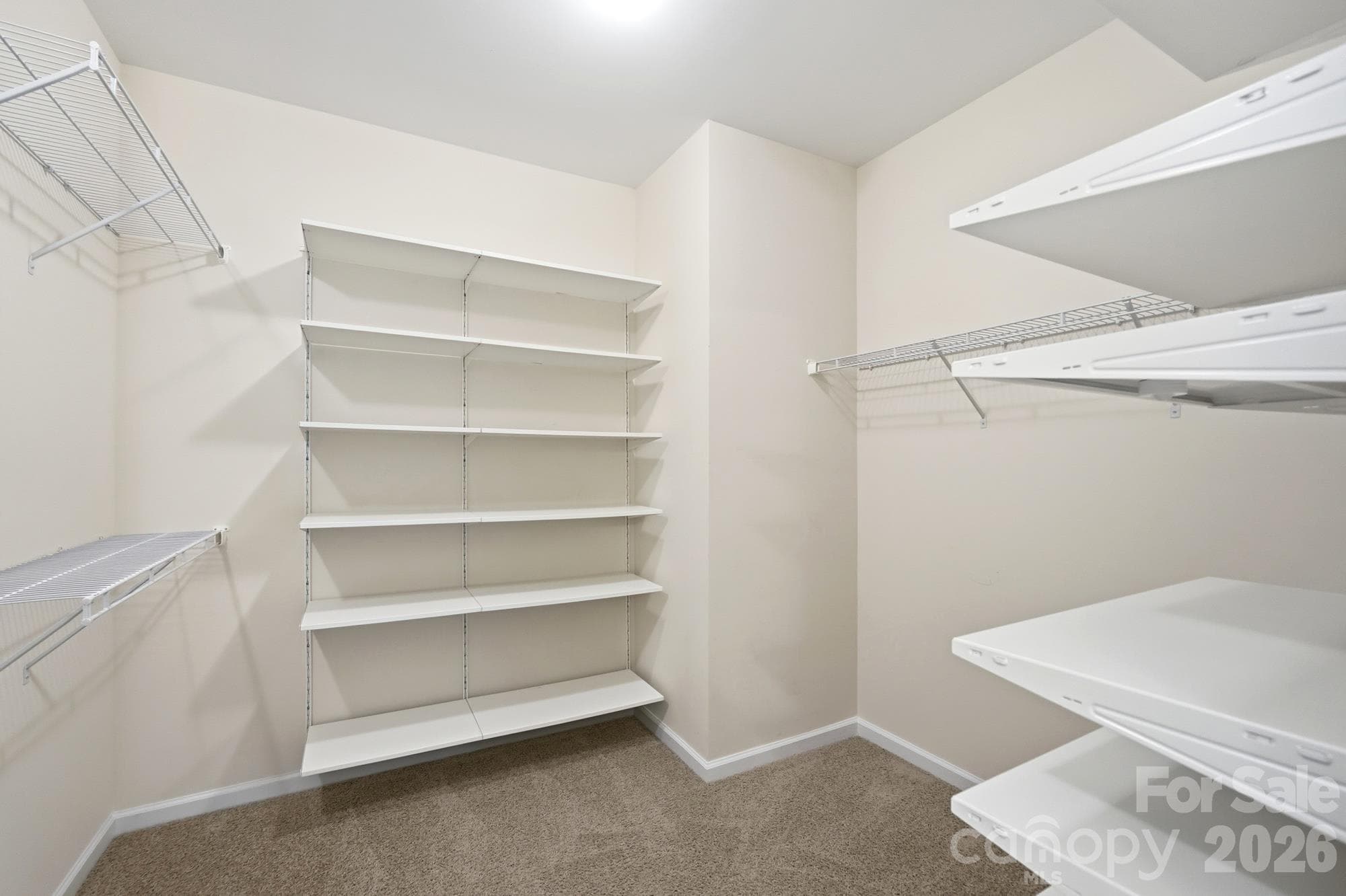 Walk-in in primary closet with organizational system - 7656 Tanglewood Way, Denver