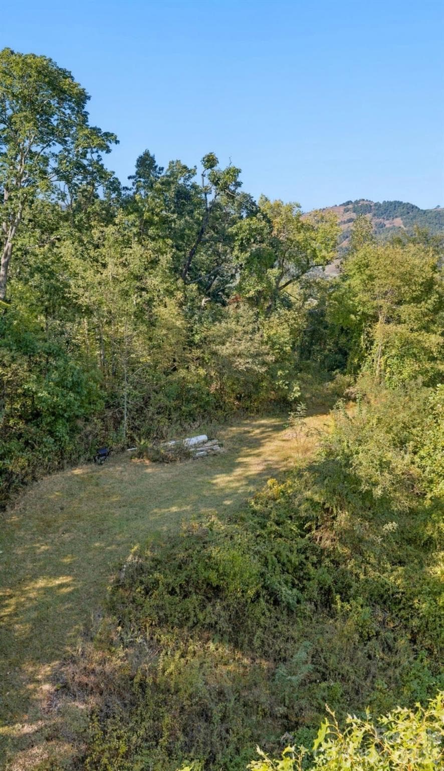 AI-inspired to show build potential on additional homesite - 241 Standing Rock Cove, Clyde