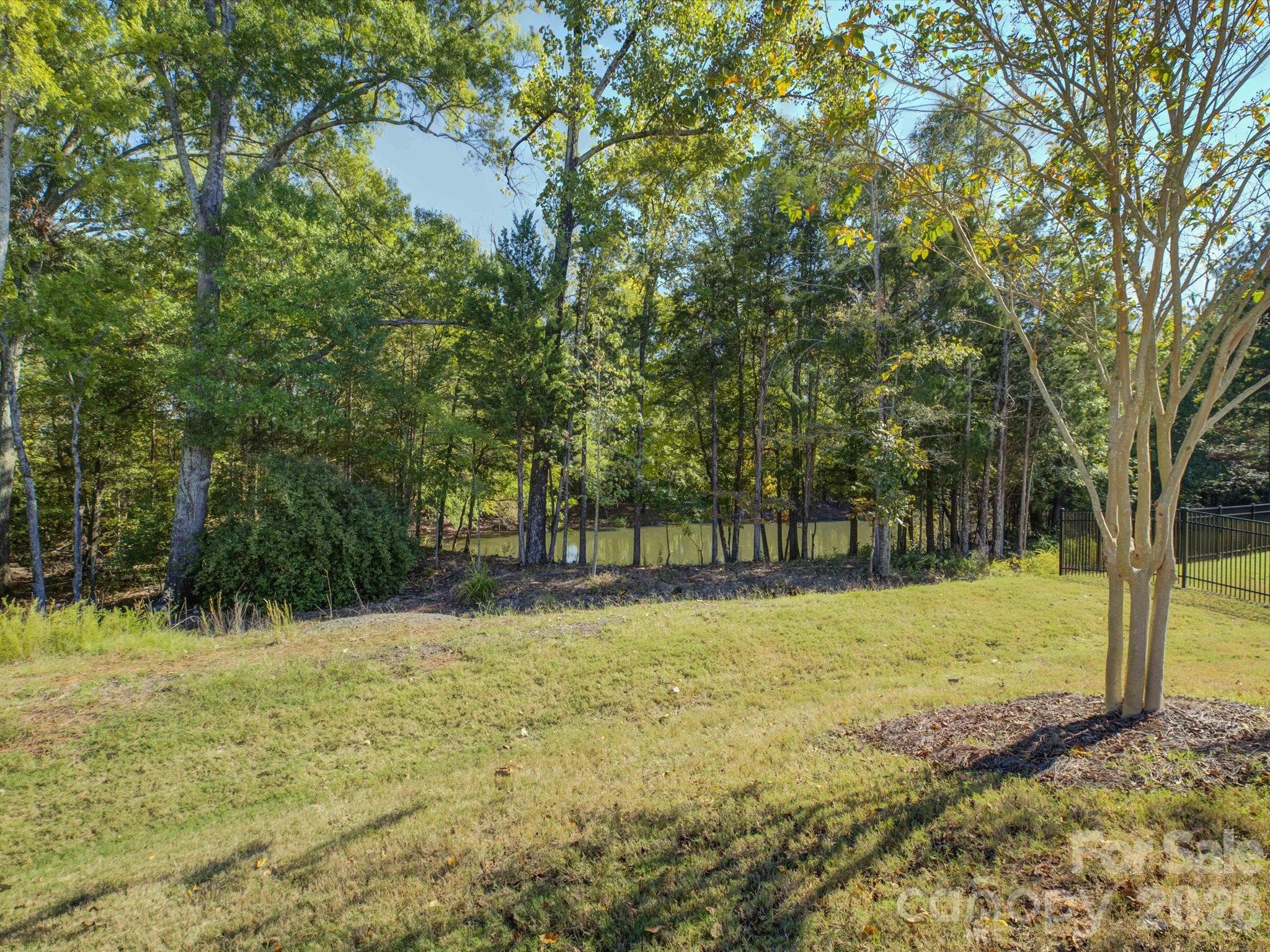 Single Family Residence at 12537 Belmont Mansion Drive, Charlotte, photo 44 of 46