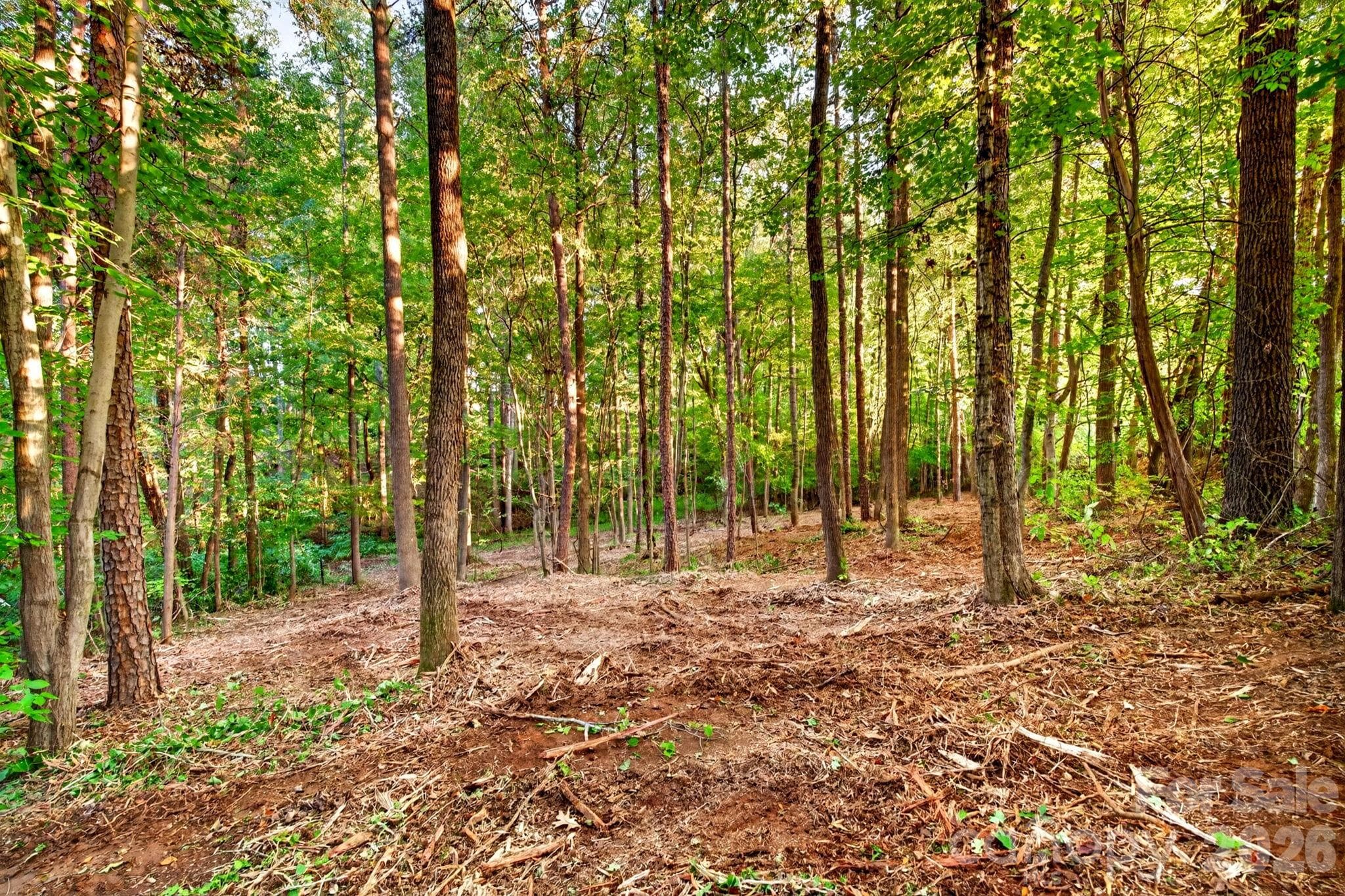 Acreage at 00 Seay Drive, Advance, photo 5 of 23