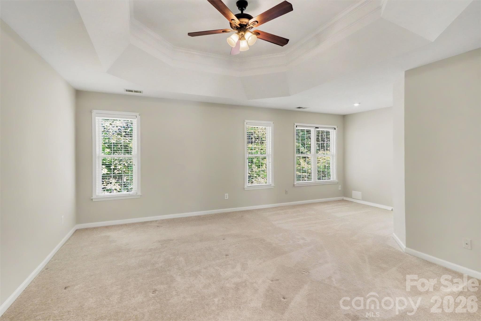 Nature Light - 17028 Hampton Trace Road, Huntersville