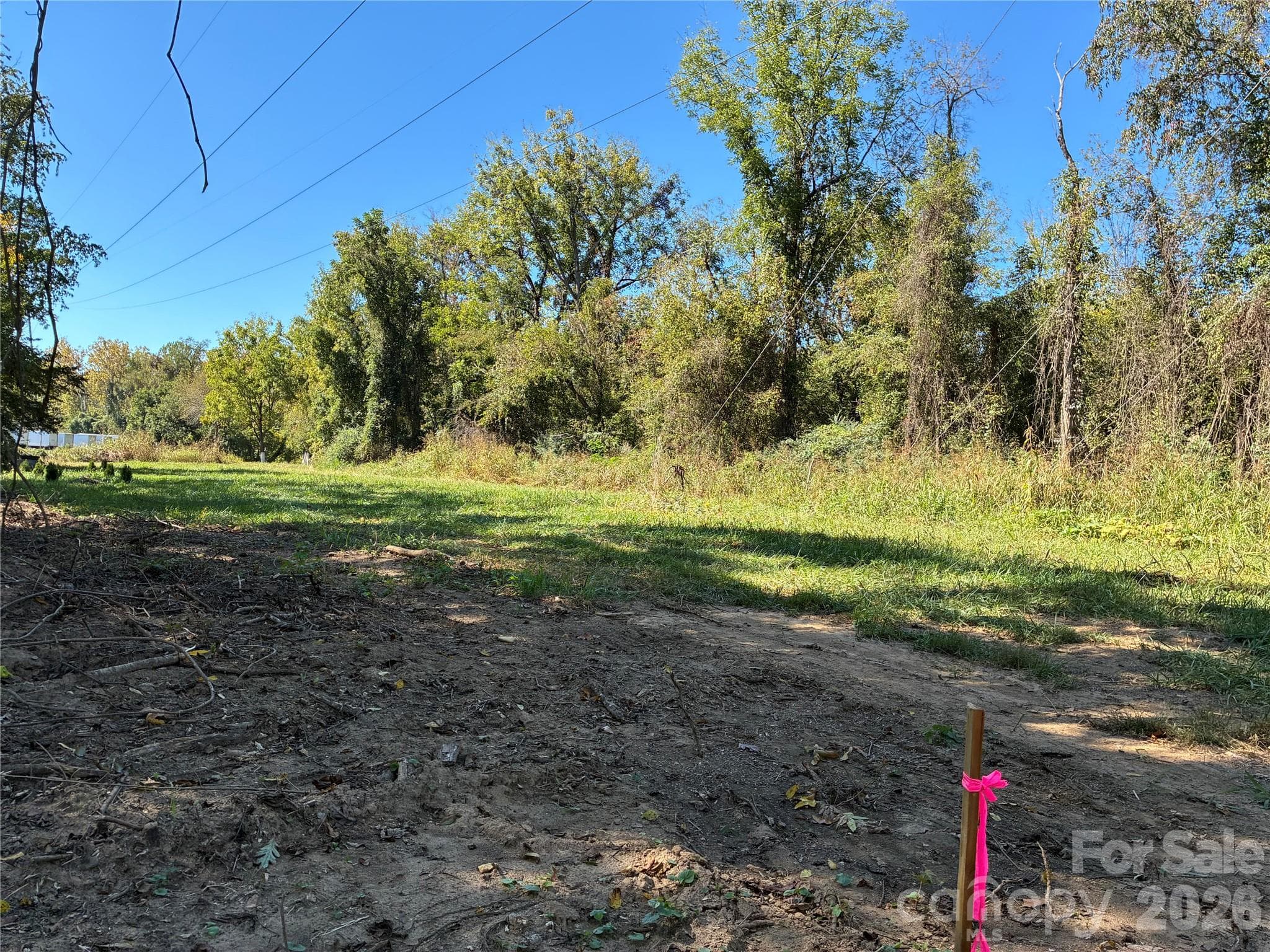 Lot at 233 Oakview Road, Asheville, photo 3 of 12