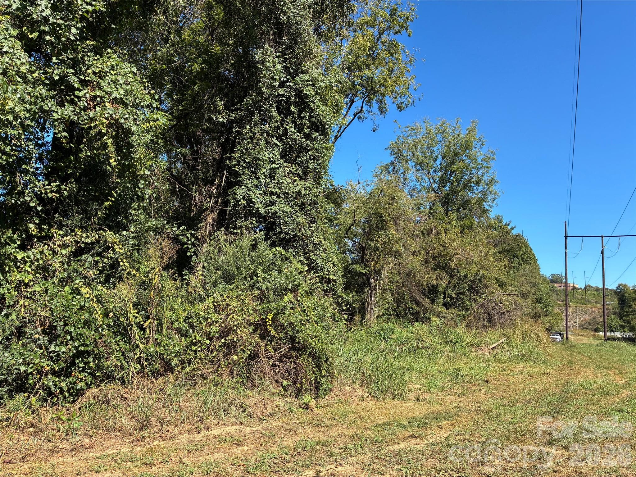 Lot at 233 Oakview Road, Asheville, photo 6 of 12