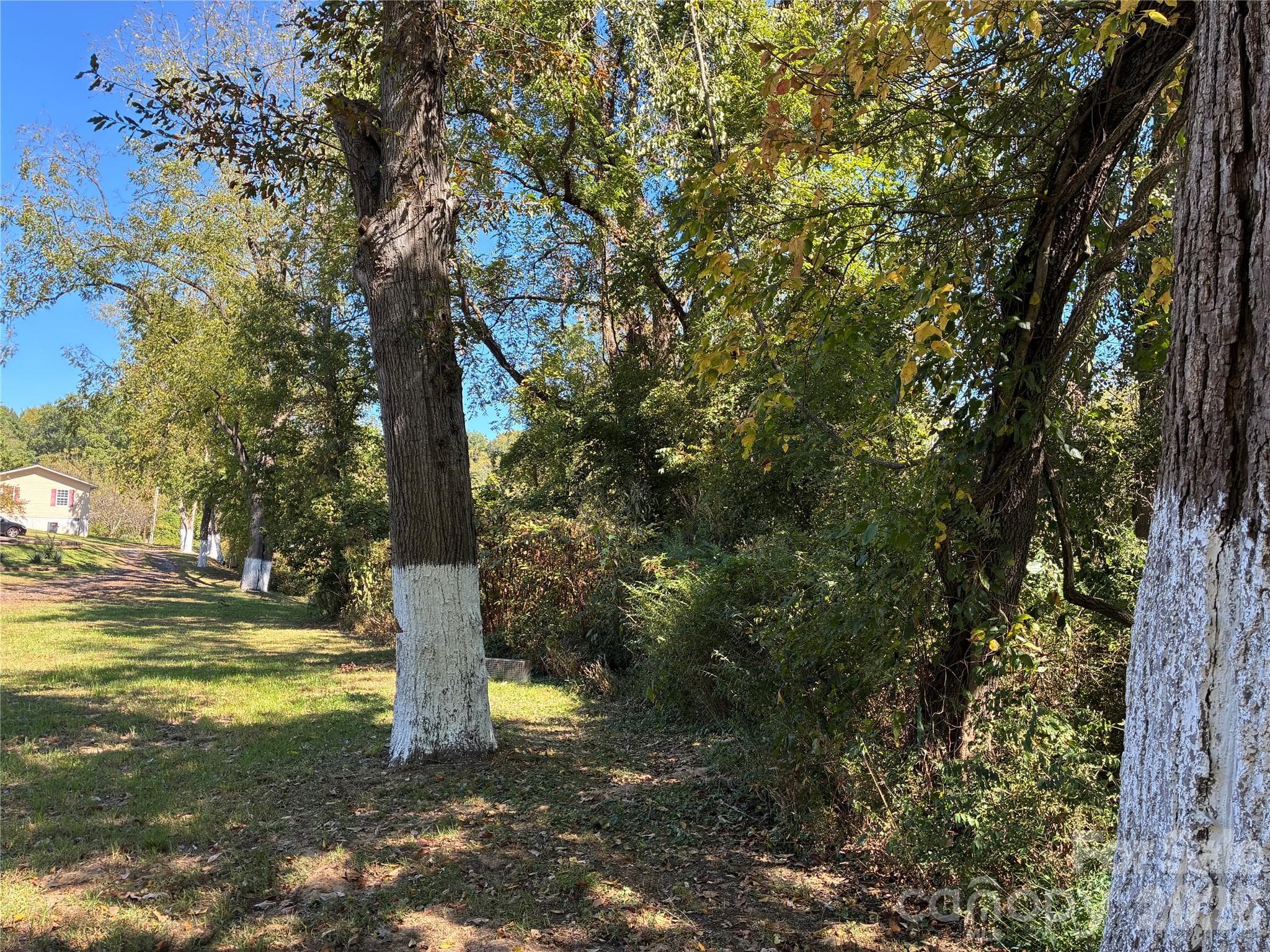 Lot at 233 Oakview Road, Asheville, photo 8 of 12