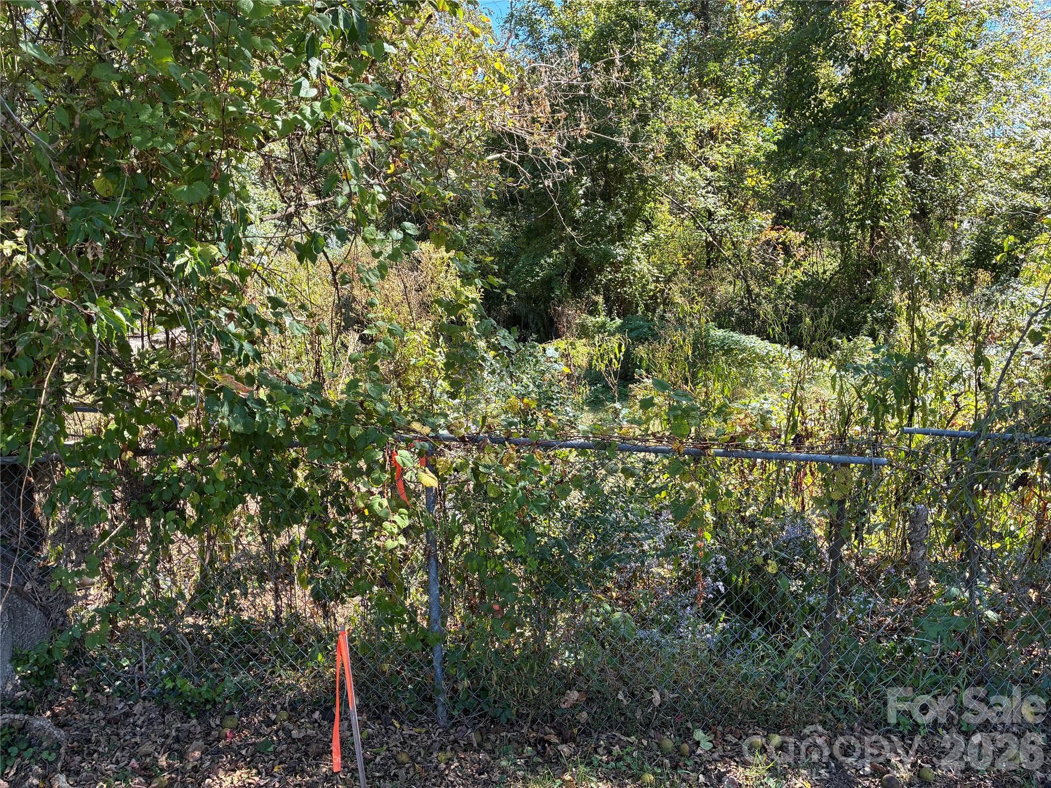 Lot at 233 Oakview Road, Asheville, photo 9 of 12