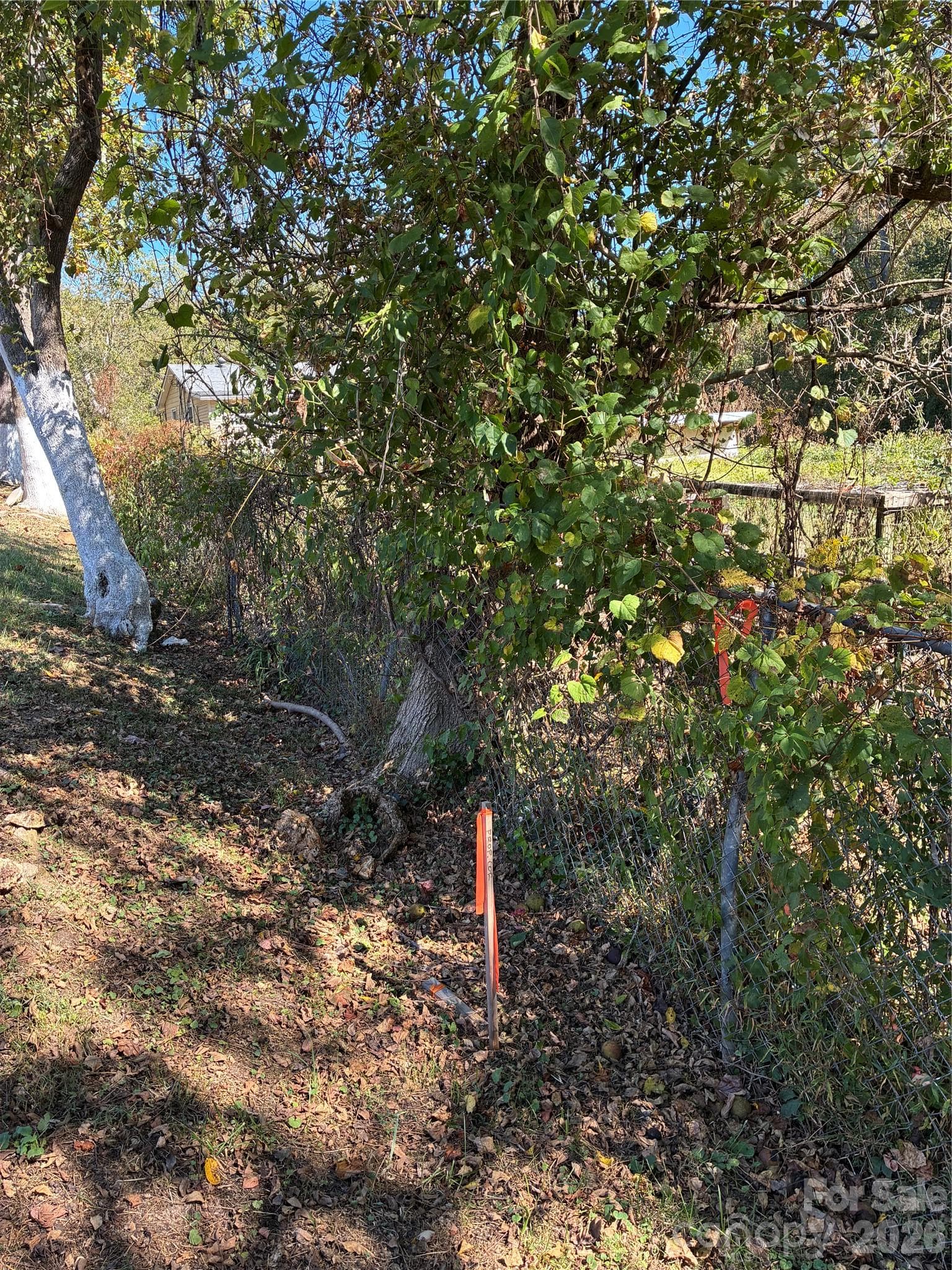 Lot at 233 Oakview Road, Asheville, photo 11 of 12