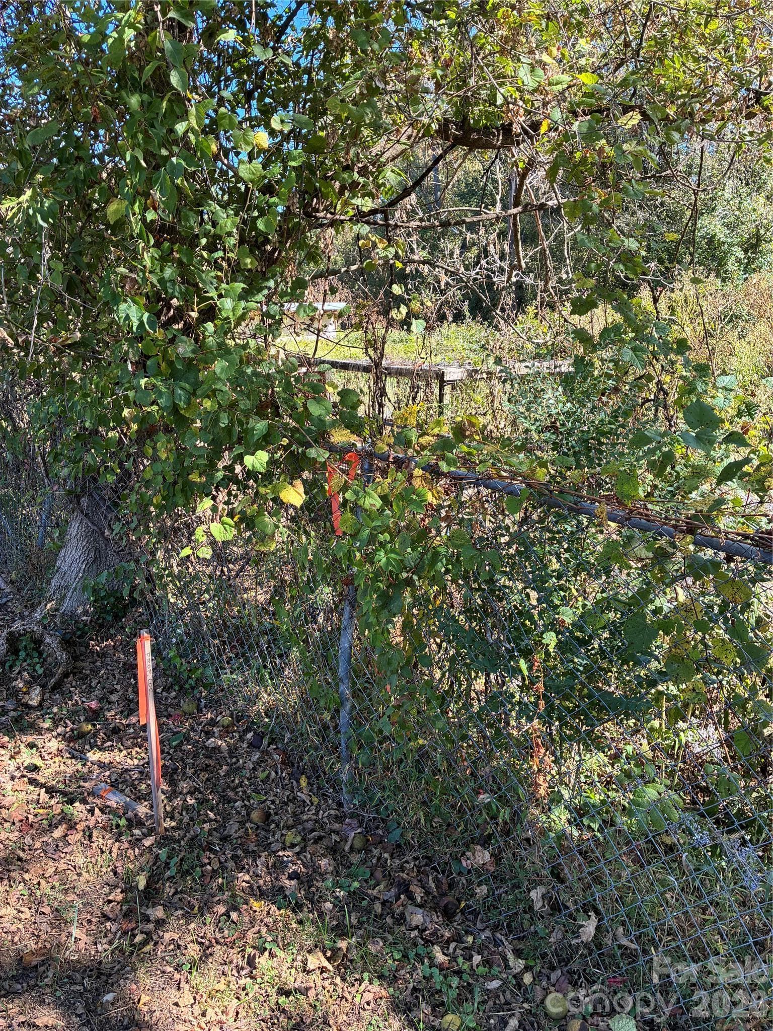 Lot at 233 Oakview Road, Asheville, photo 12 of 12
